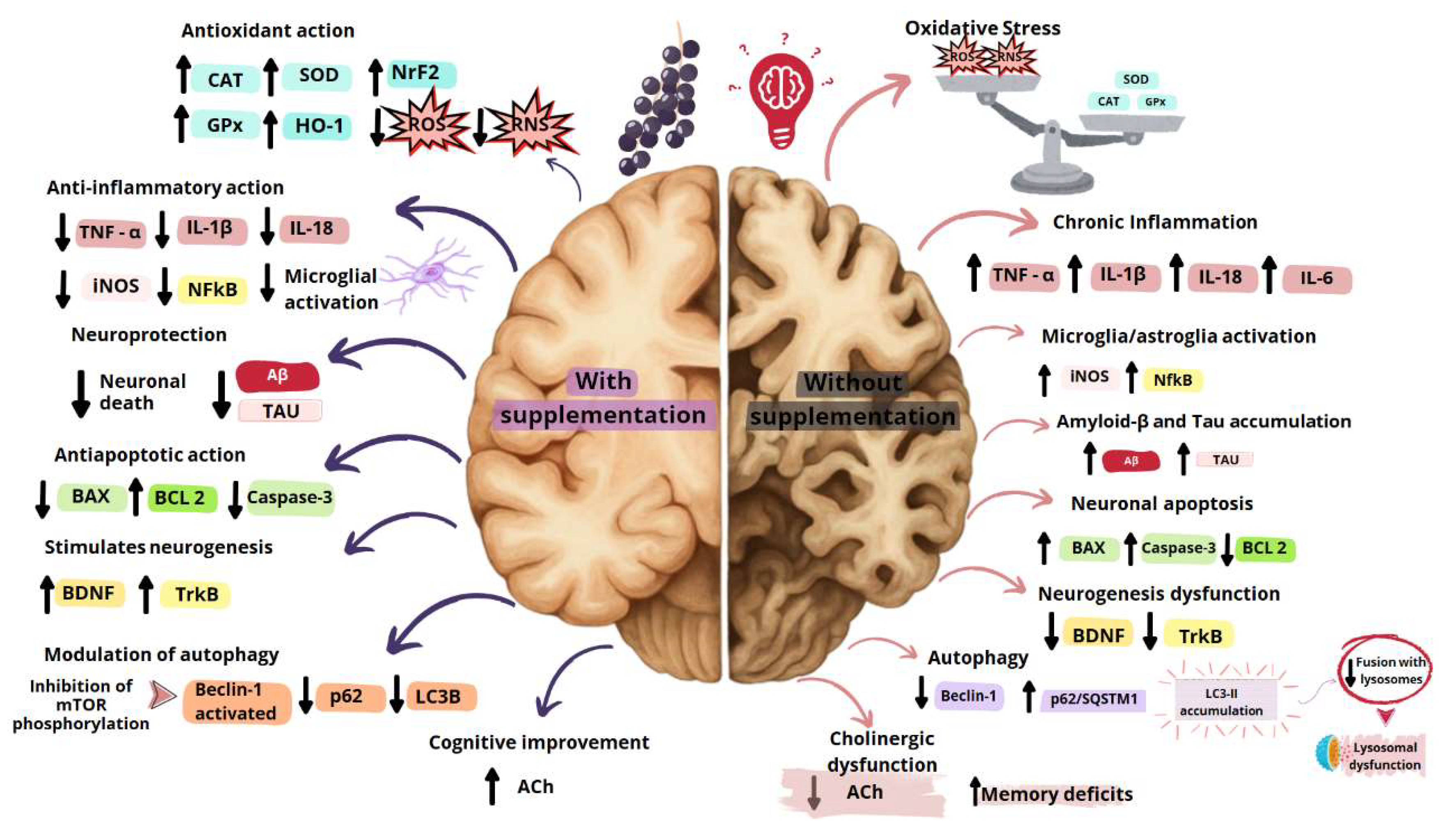 Preprints 161126 g004