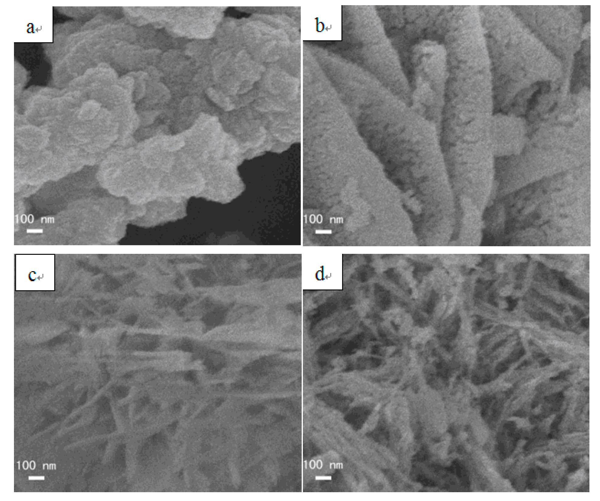 Preprints 84495 g004