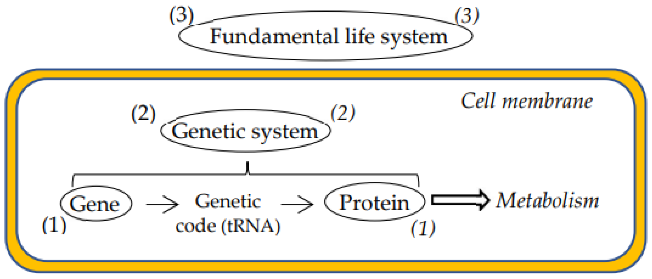 Preprints 154212 g001