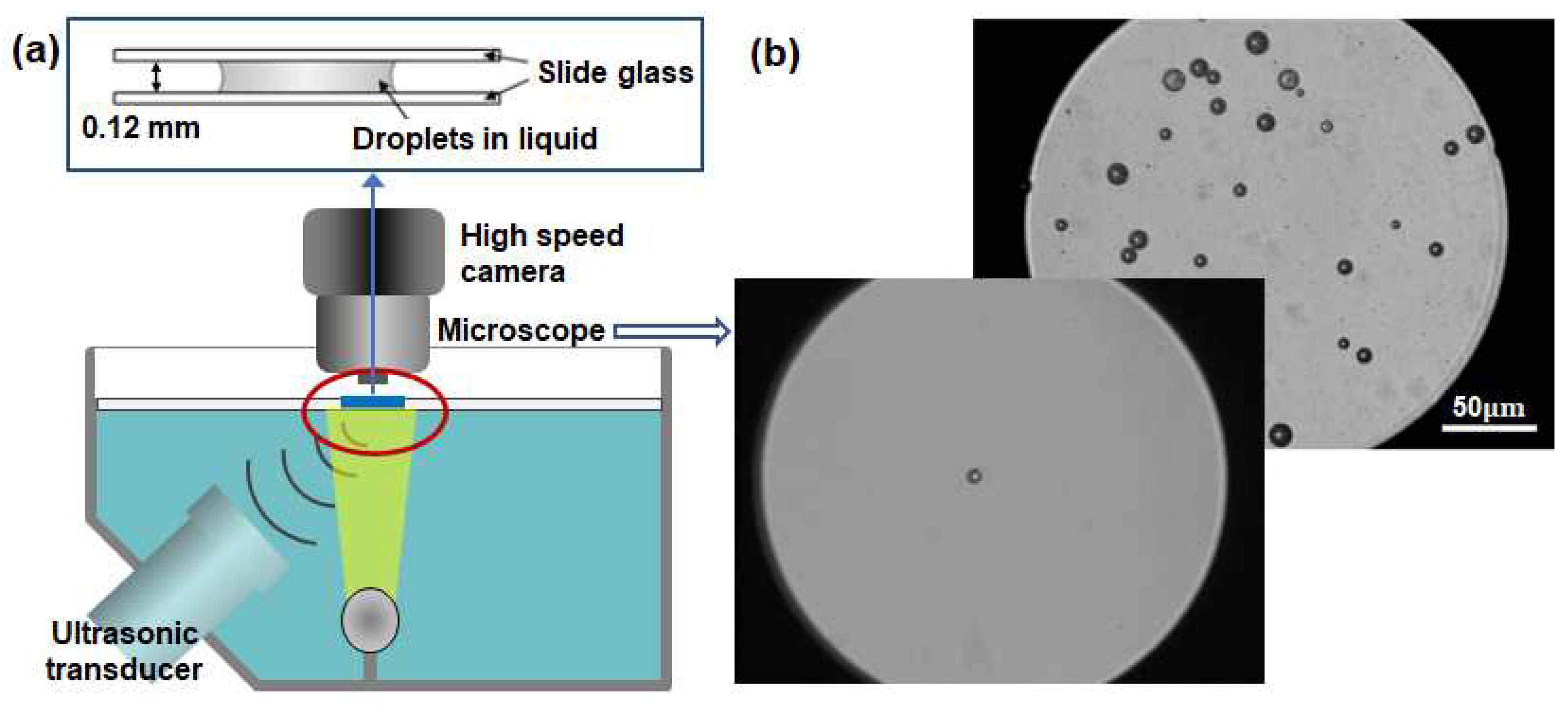 Preprints 95778 g002