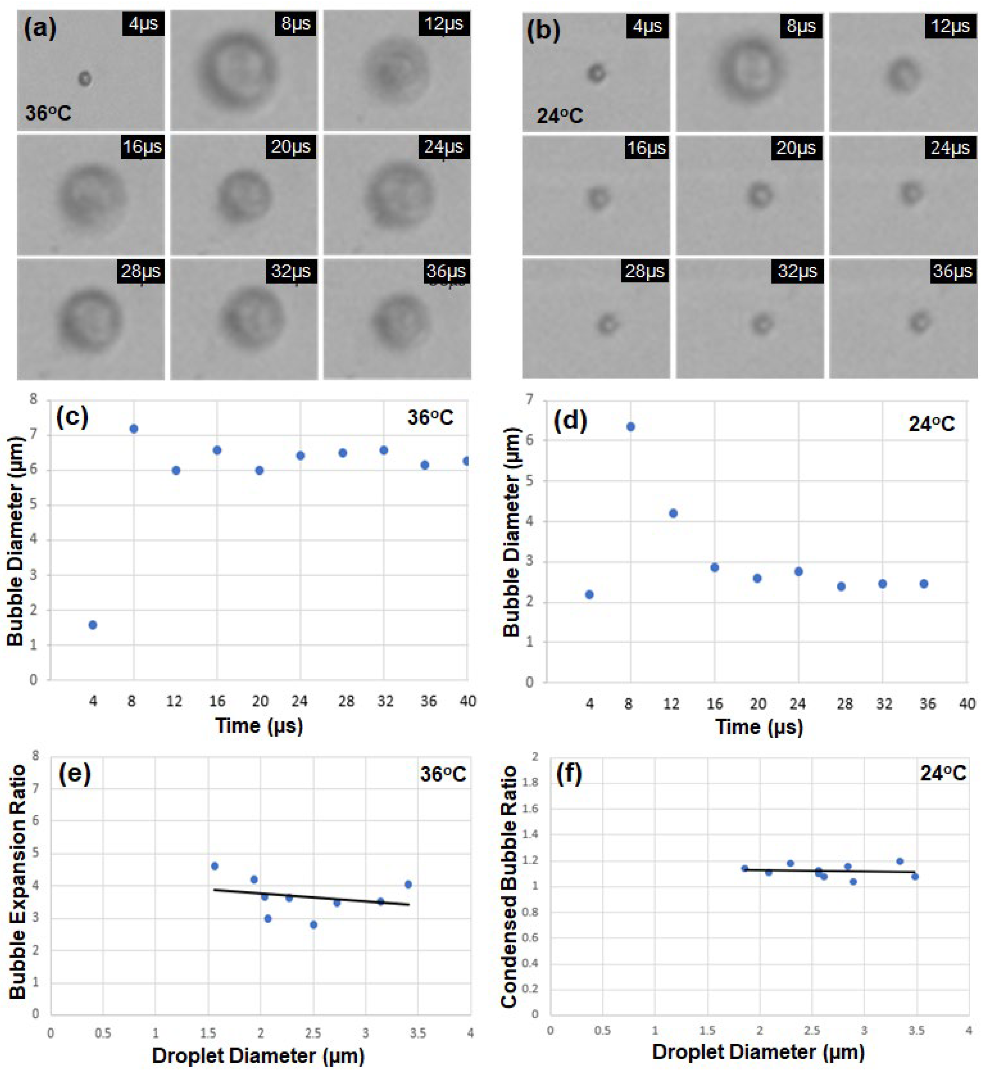 Preprints 95778 g003