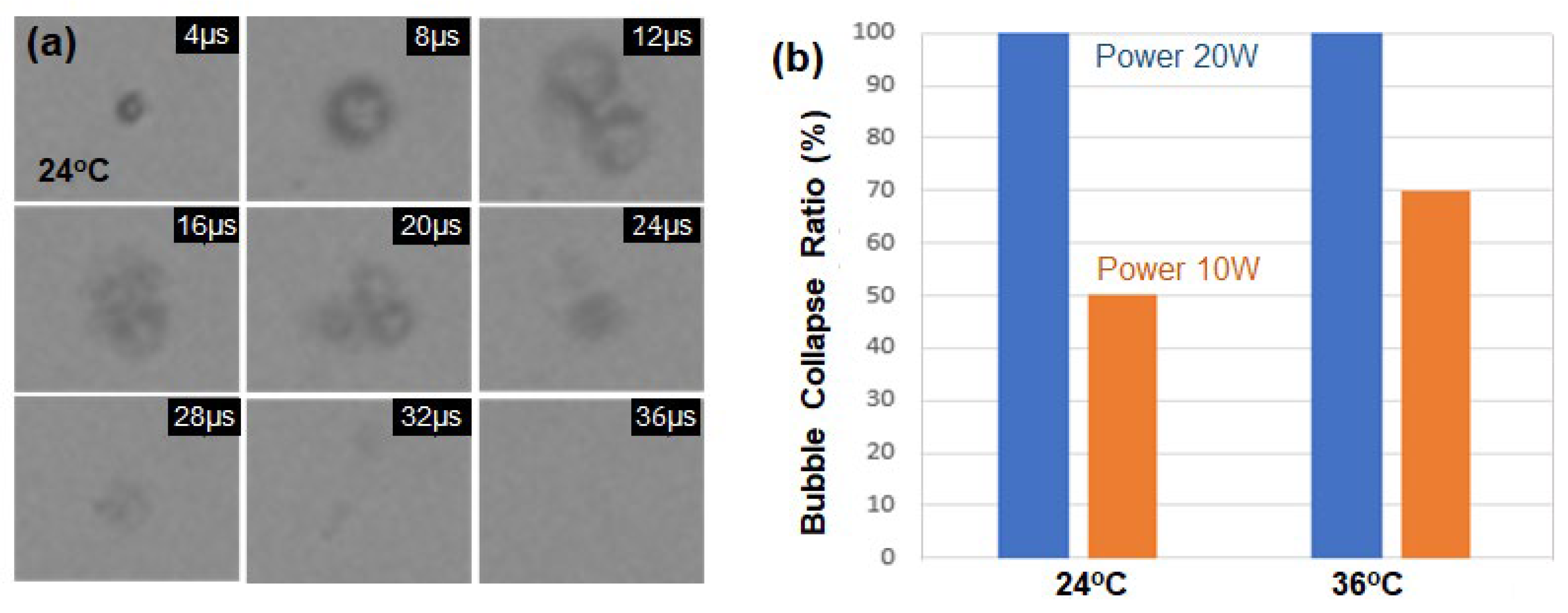 Preprints 95778 g004
