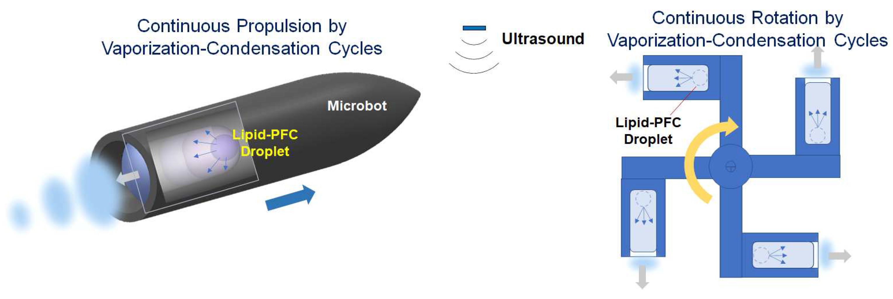 Preprints 95778 g006