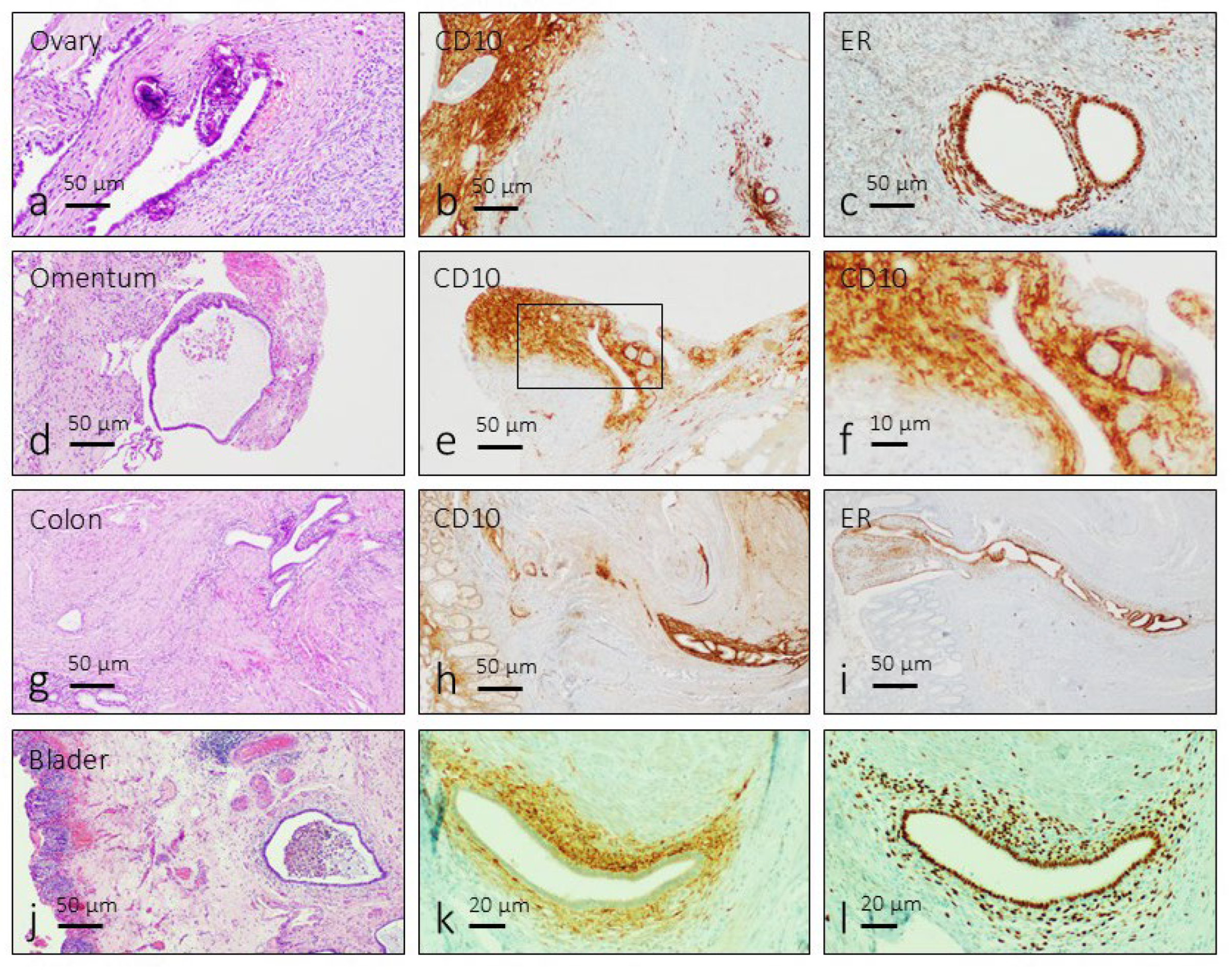 Preprints 186465 g001