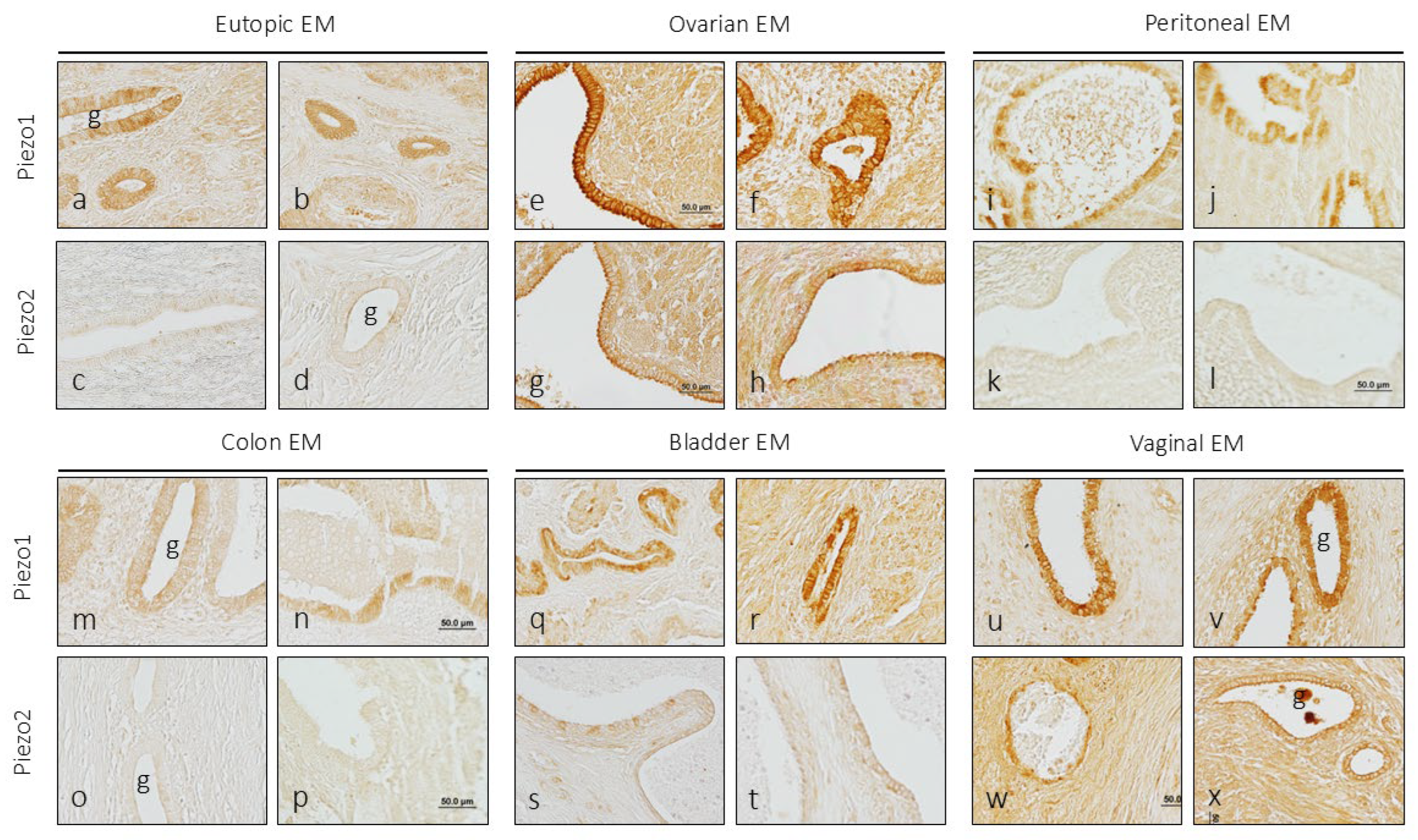Preprints 186465 g003