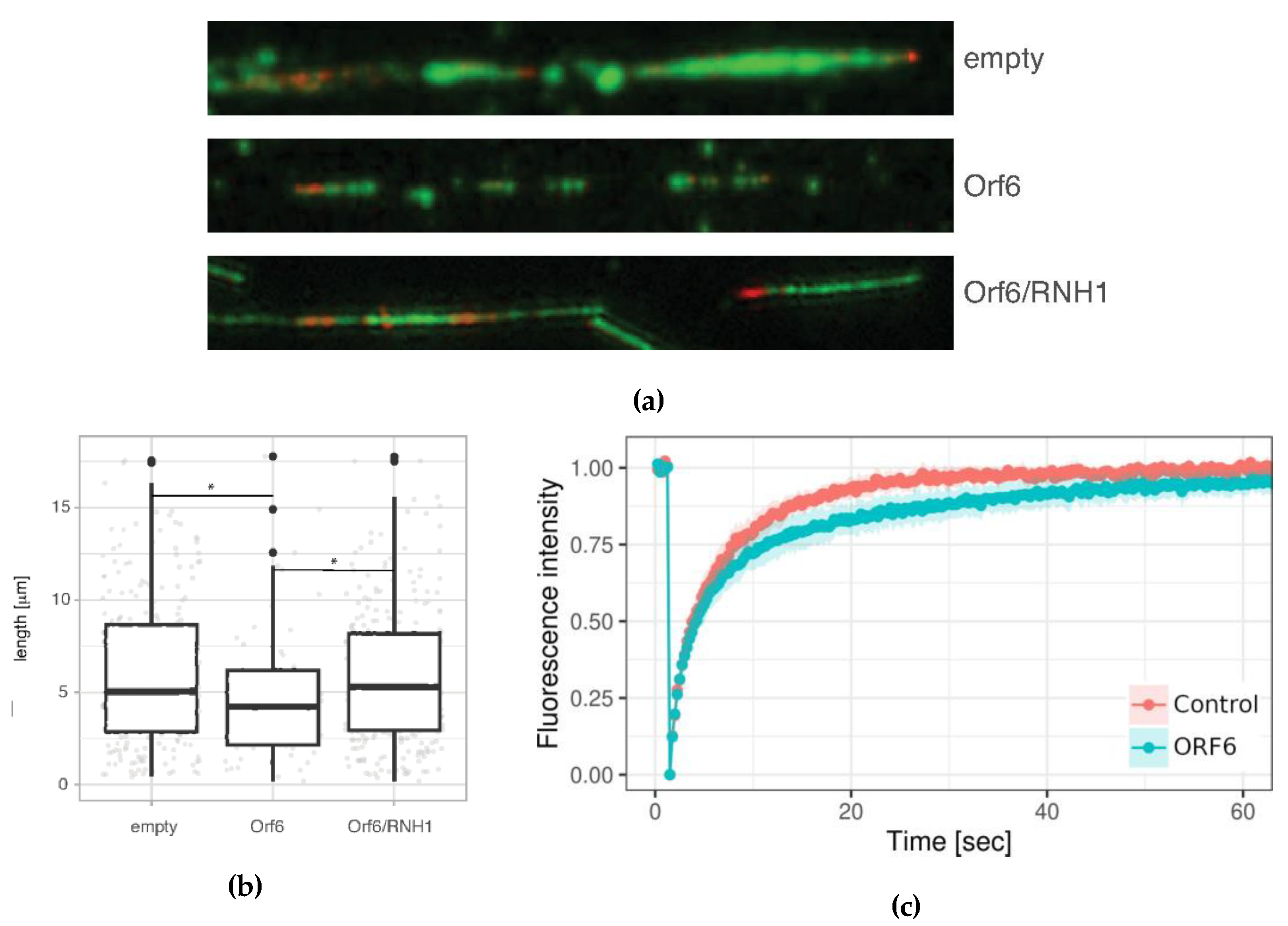 Preprints 75407 g008