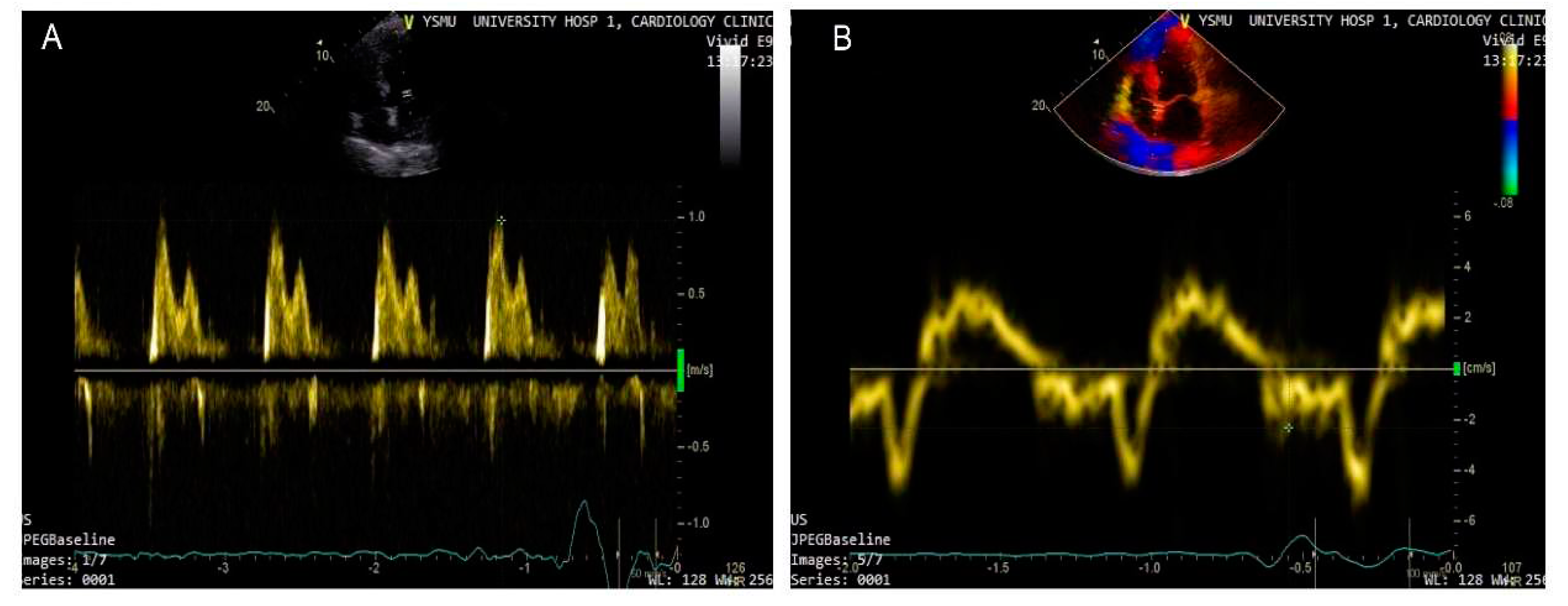 Preprints 78216 g001