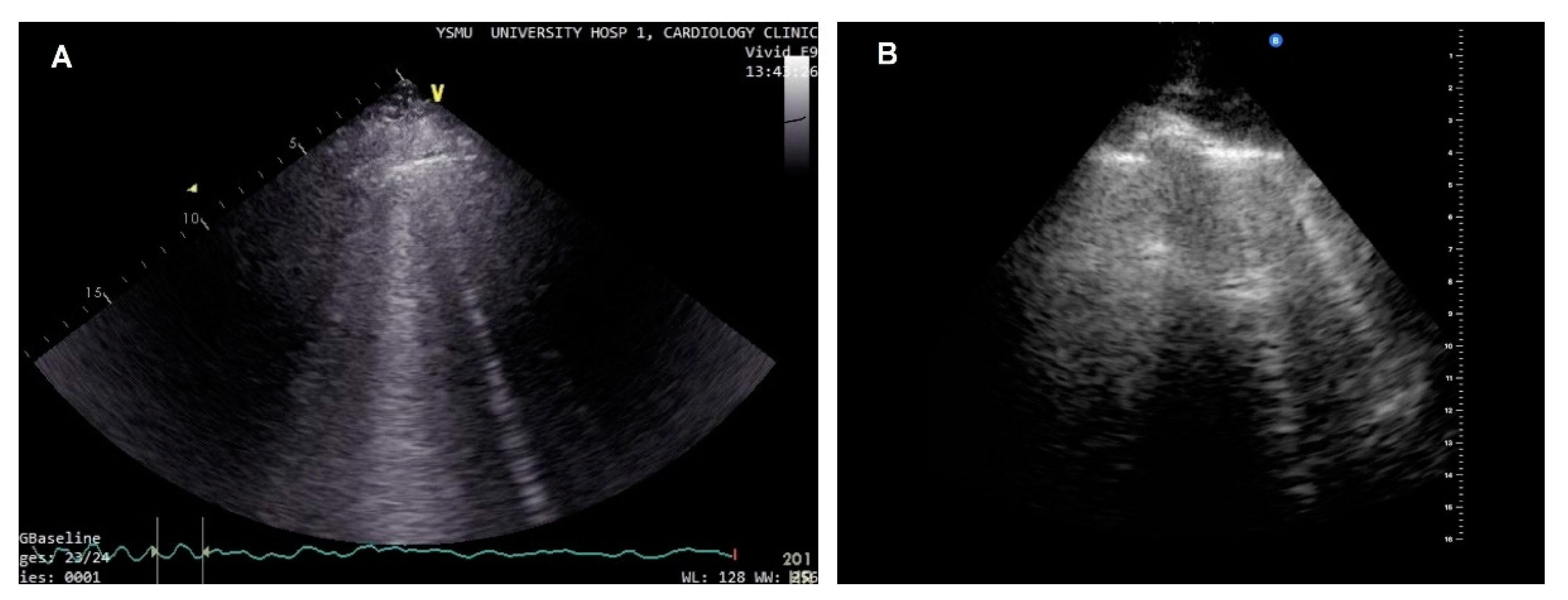 Preprints 78216 g002