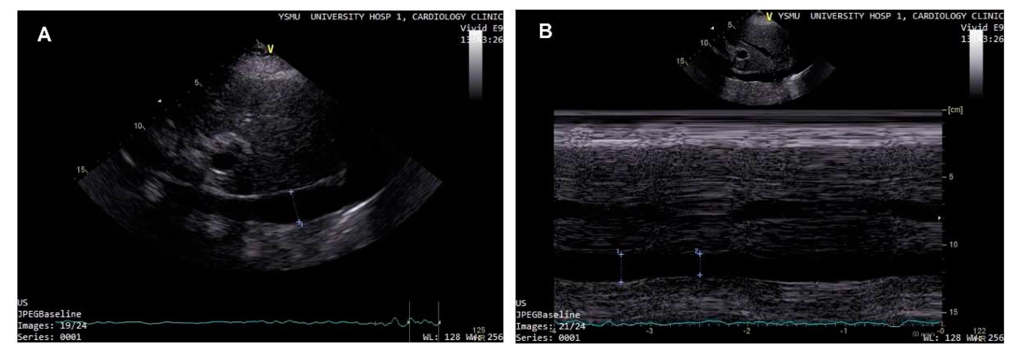 Preprints 78216 g003