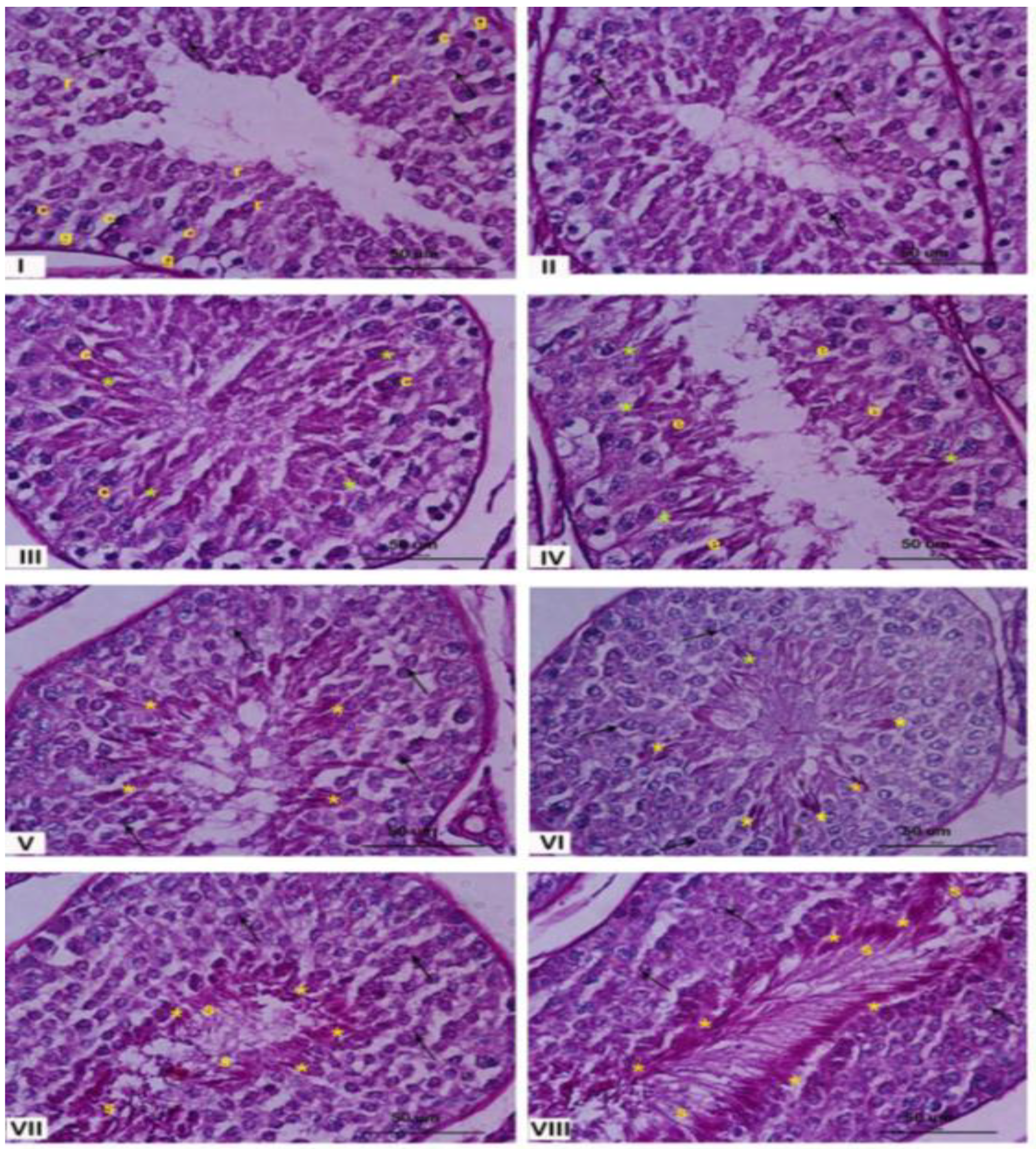 Preprints 148540 g001