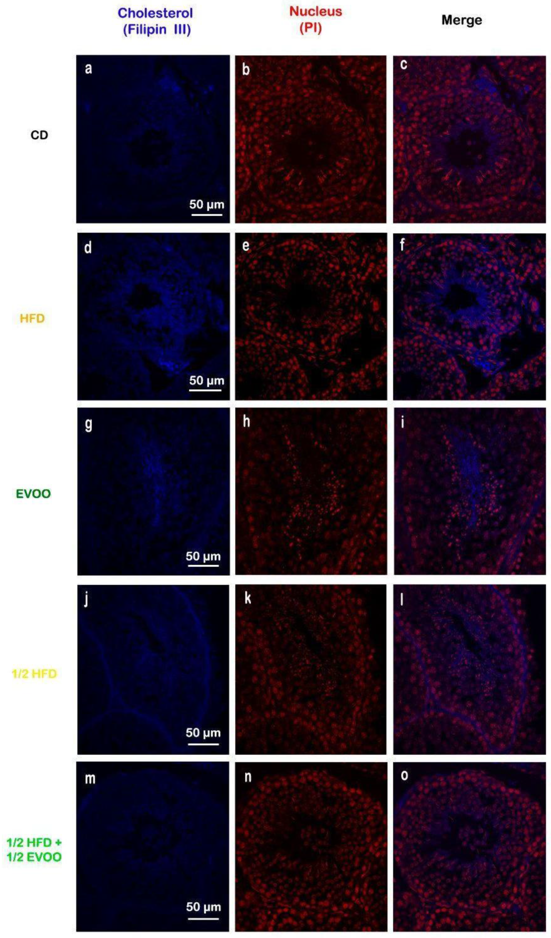 Preprints 148540 g003
