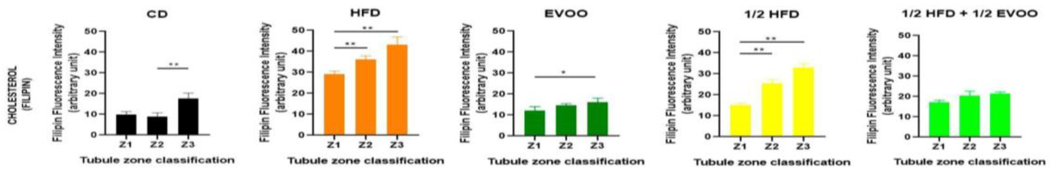 Preprints 148540 g007