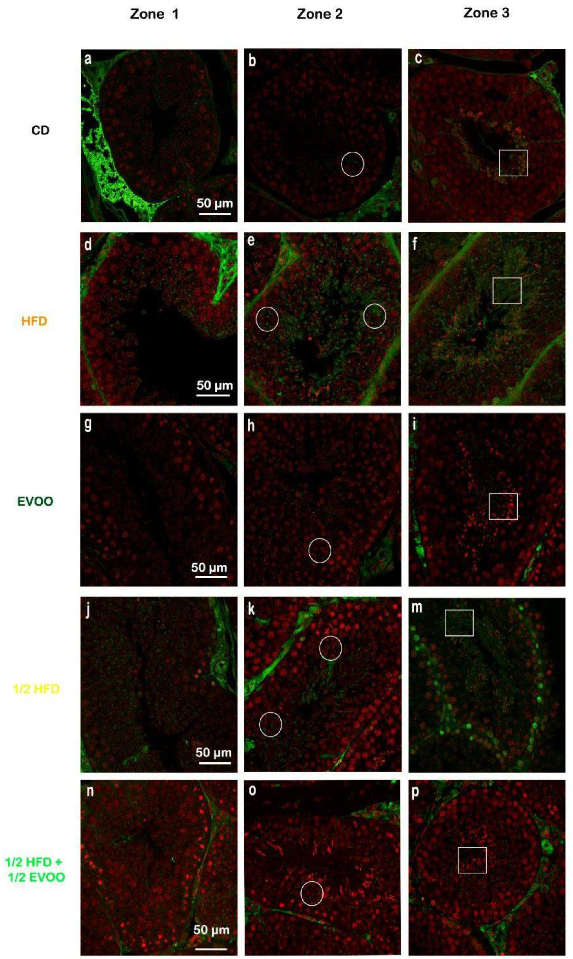 Preprints 148540 g010