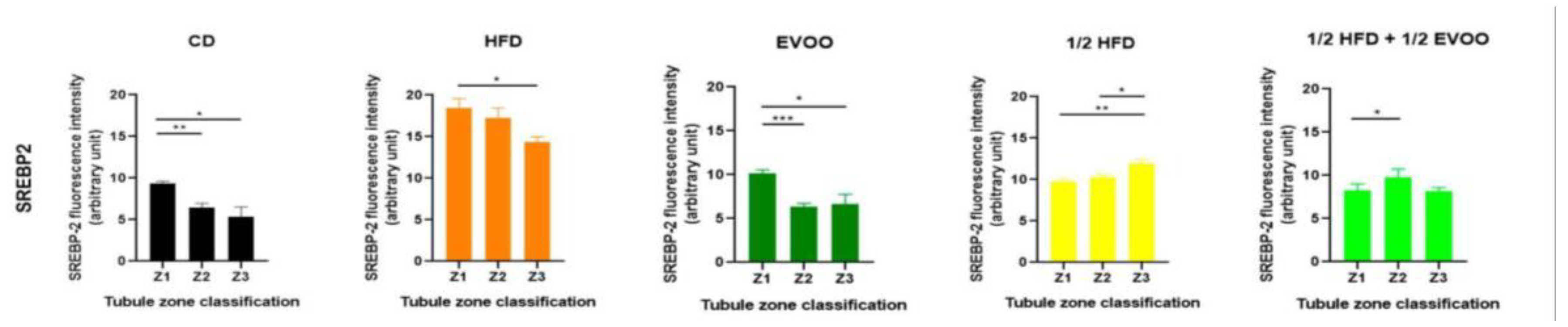 Preprints 148540 g012