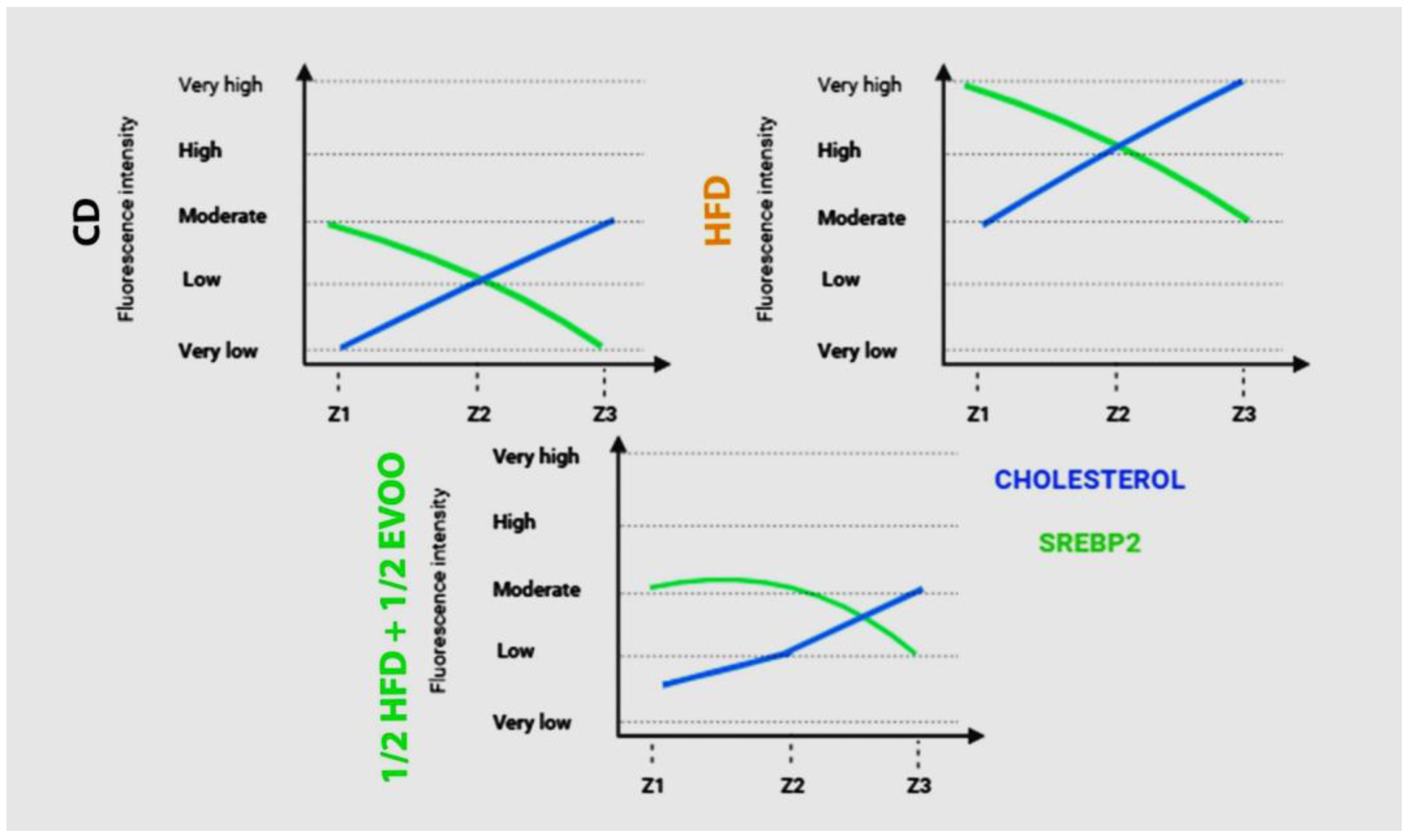 Preprints 148540 g013