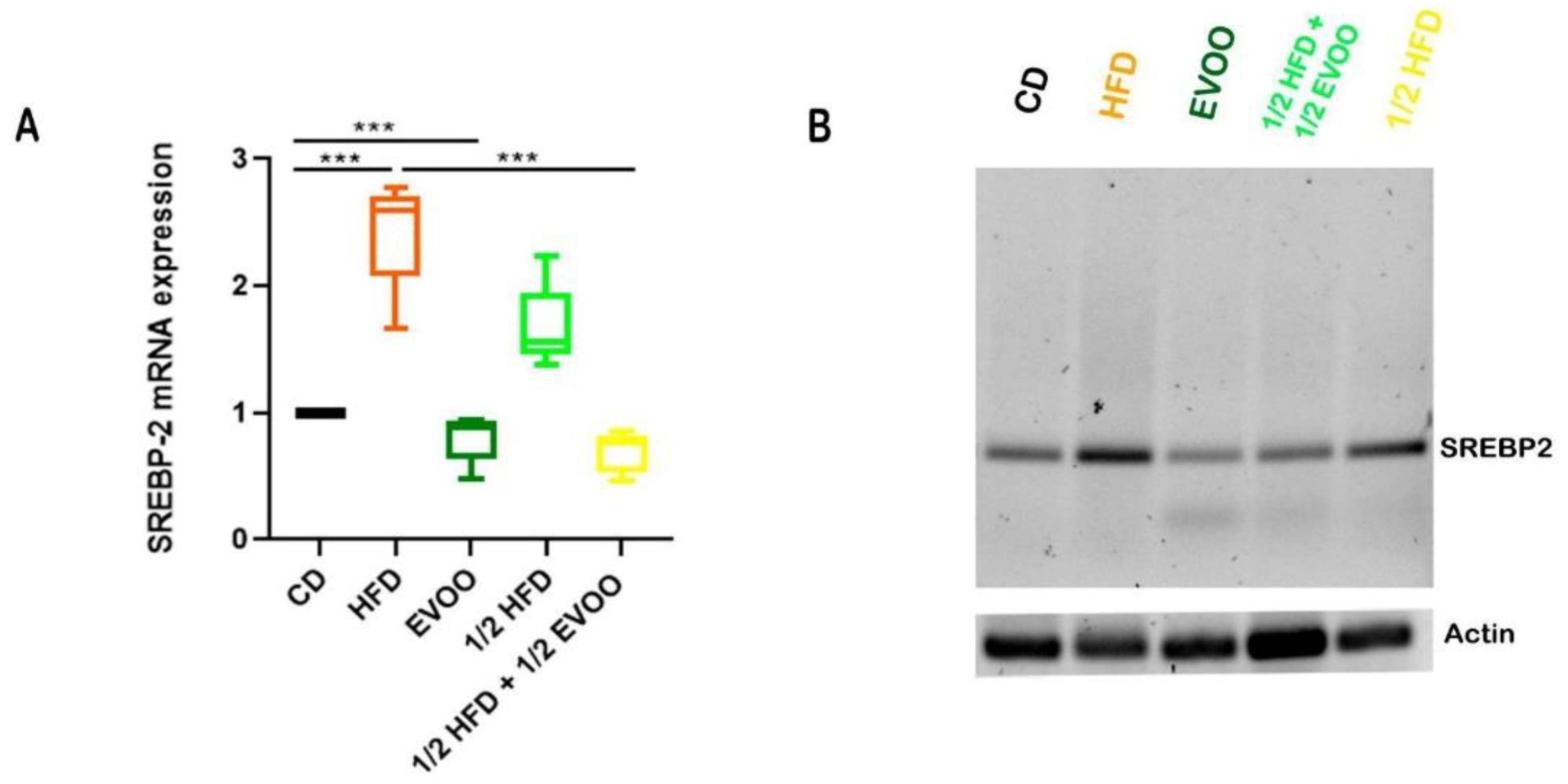 Preprints 148540 g014