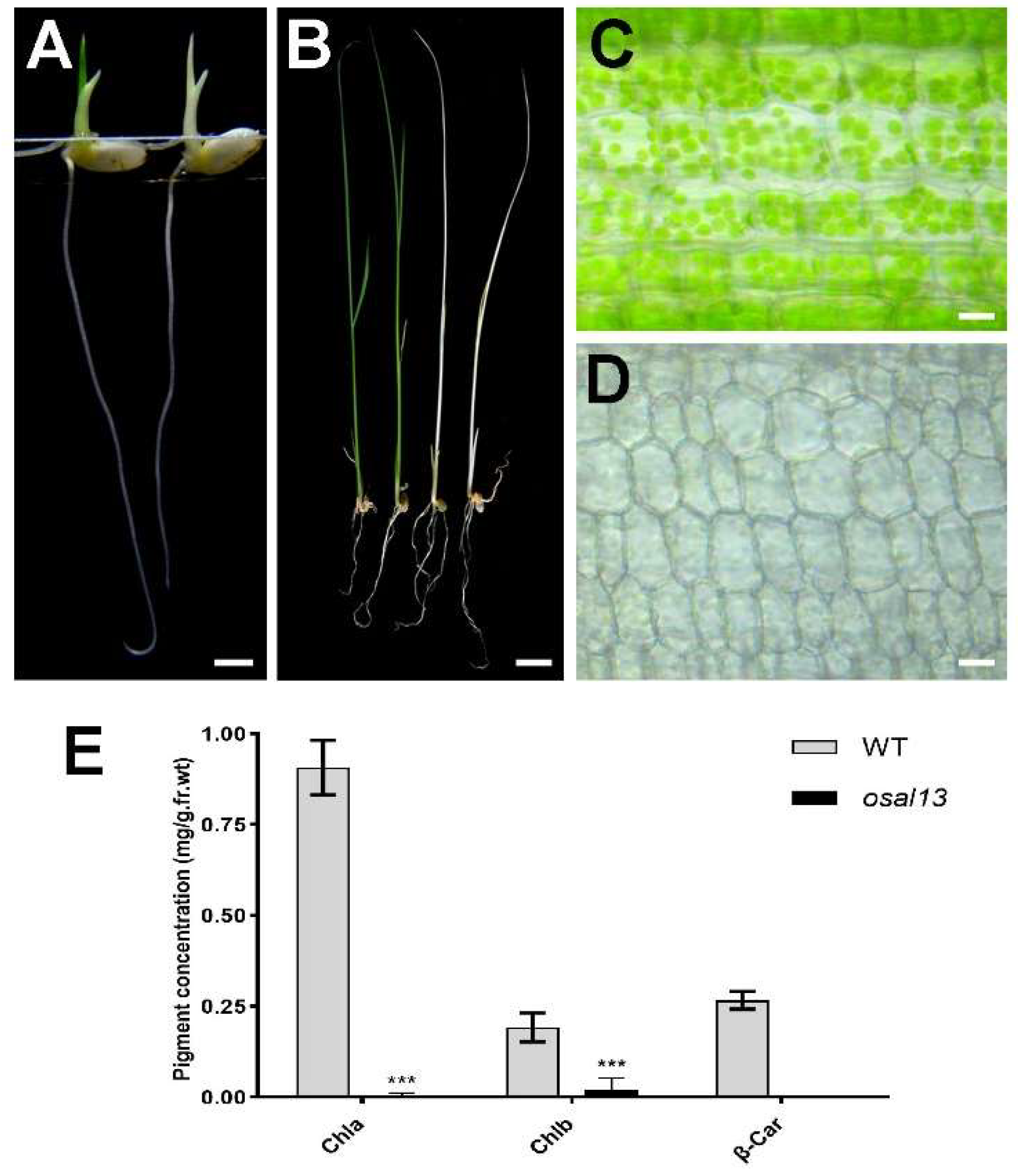 Preprints 96801 g001