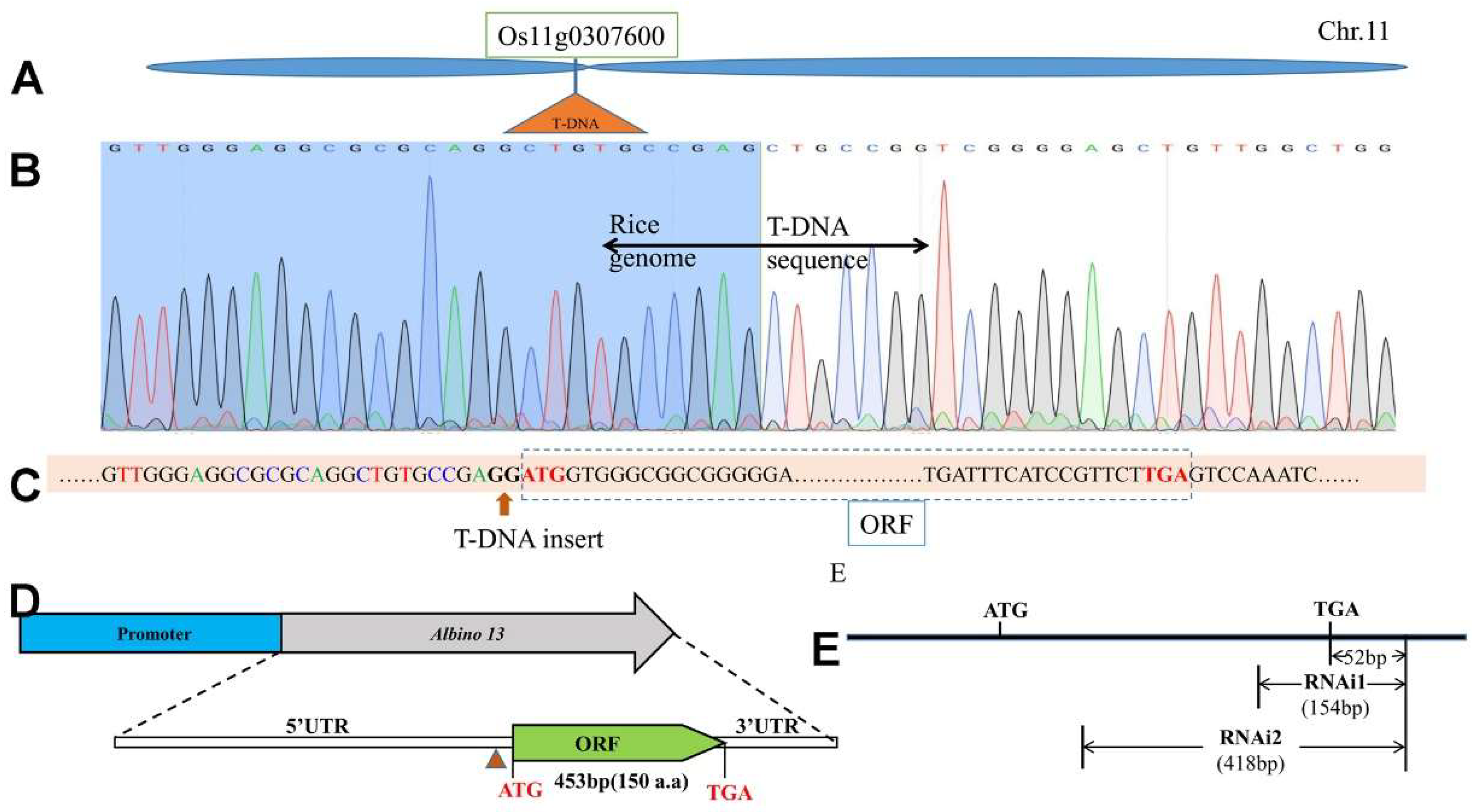 Preprints 96801 g002