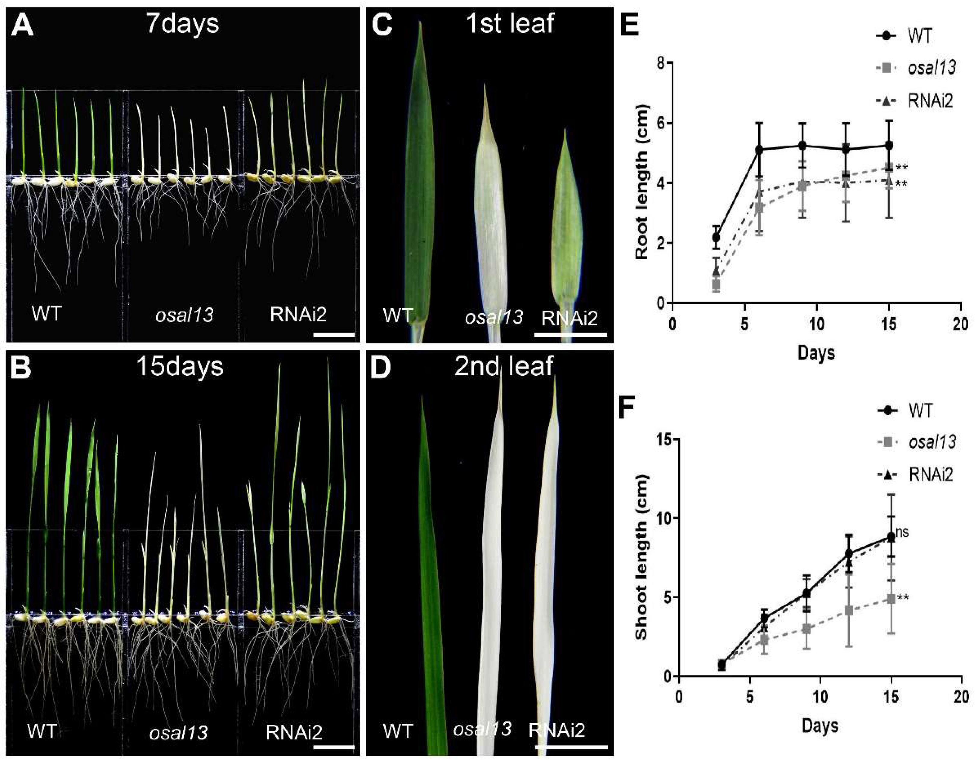 Preprints 96801 g003