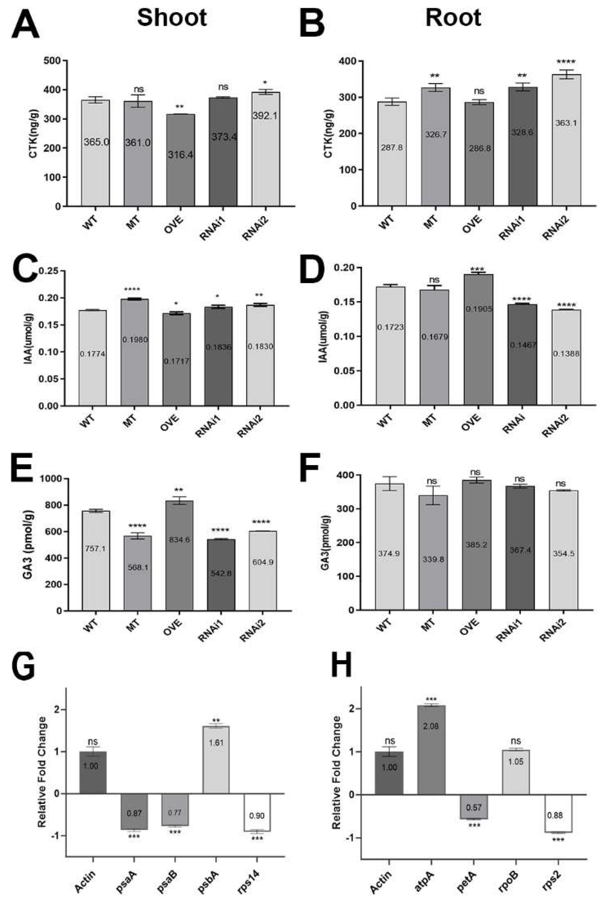 Preprints 96801 g006