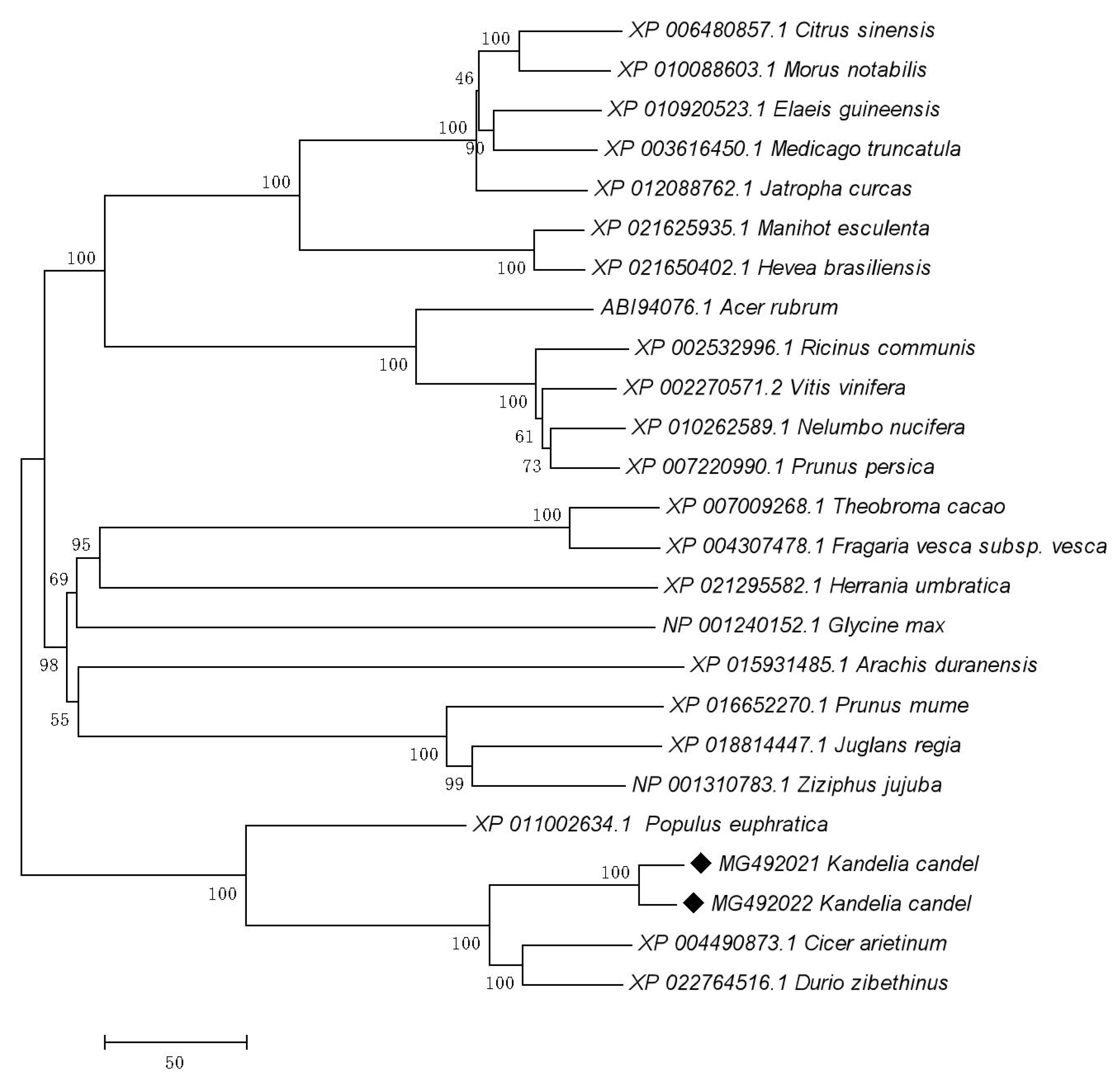 Preprints 175437 g002