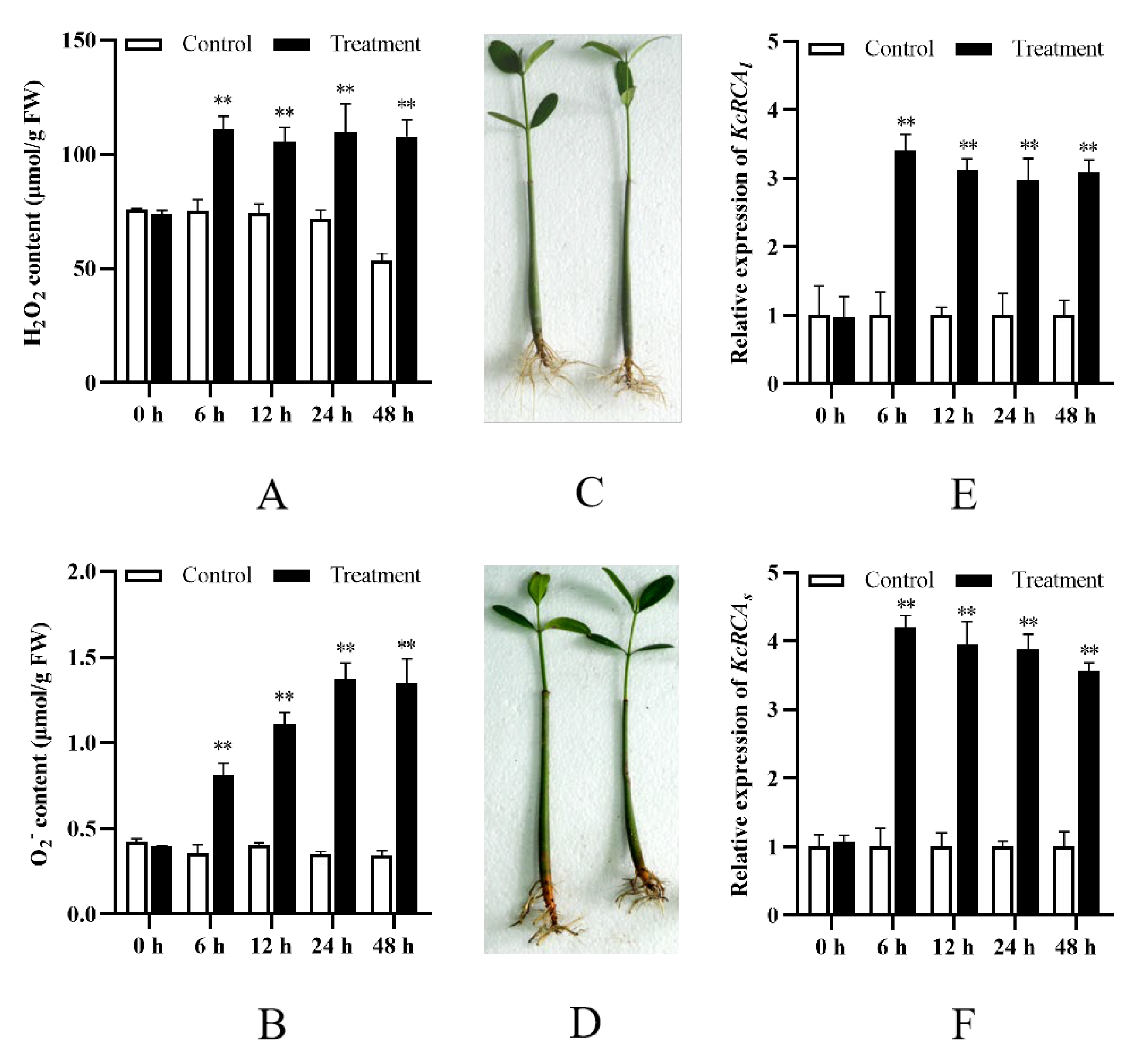 Preprints 175437 g003
