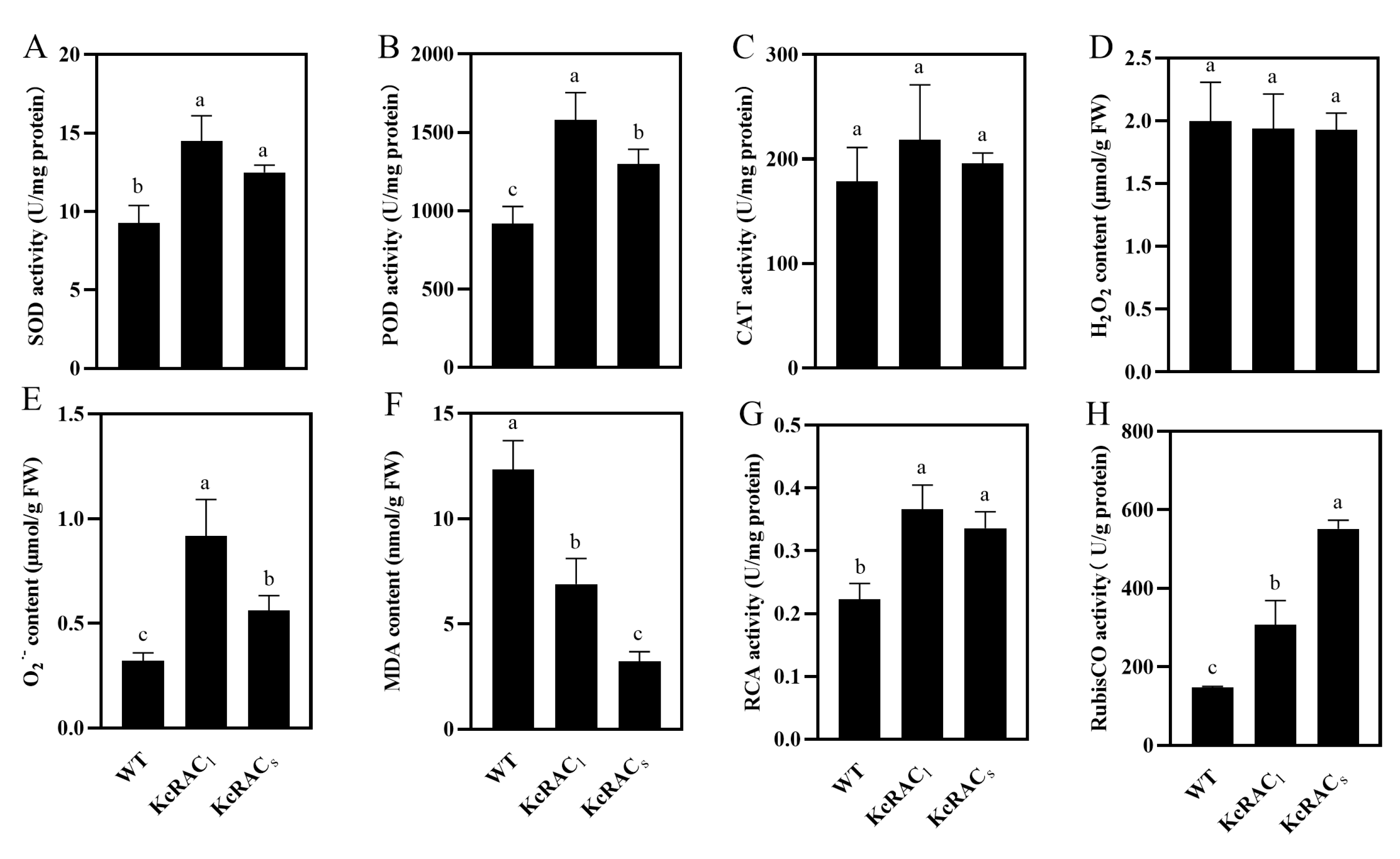 Preprints 175437 g007