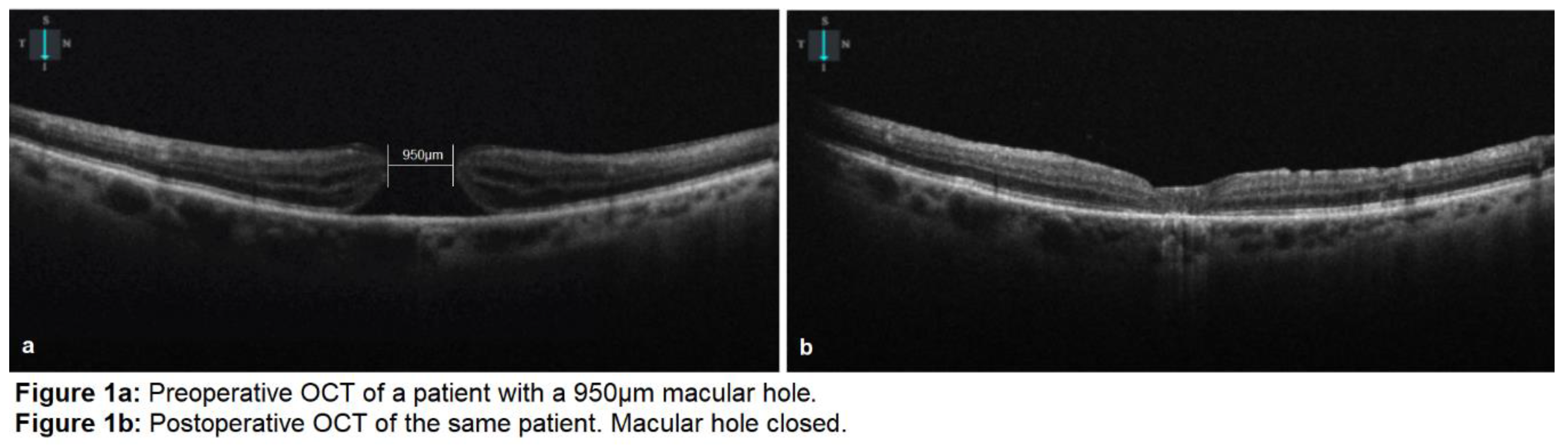 Preprints 117420 g001