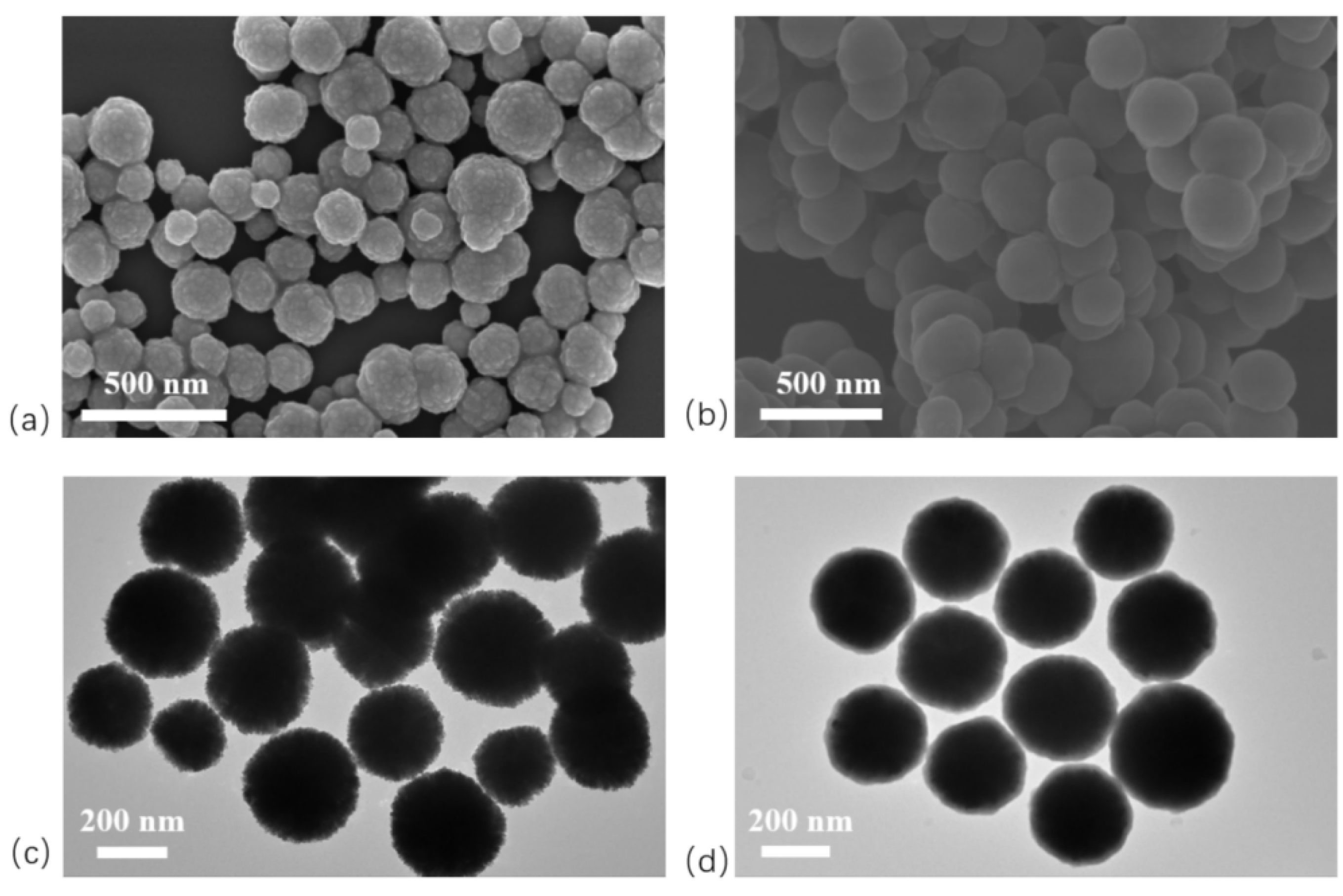 Preprints 186489 g003