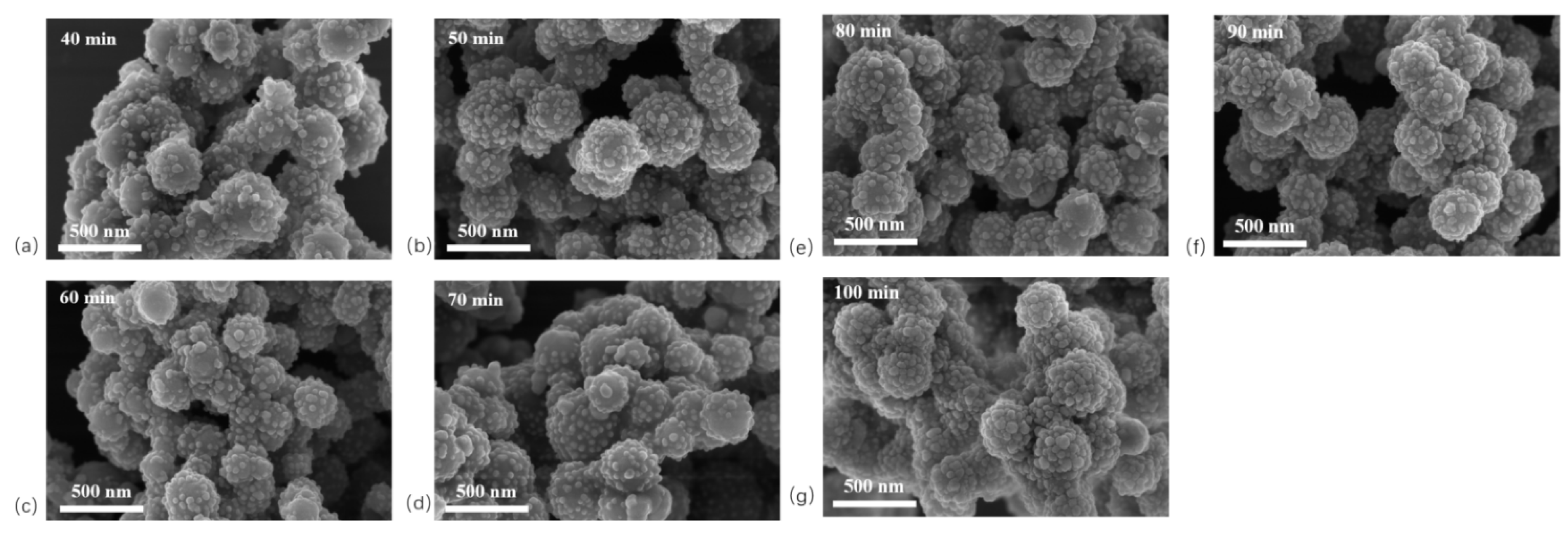 Preprints 186489 g004