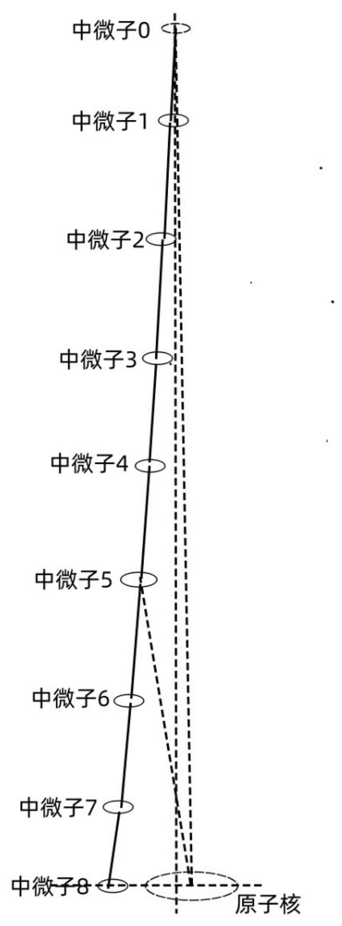 Preprints 163814 g004