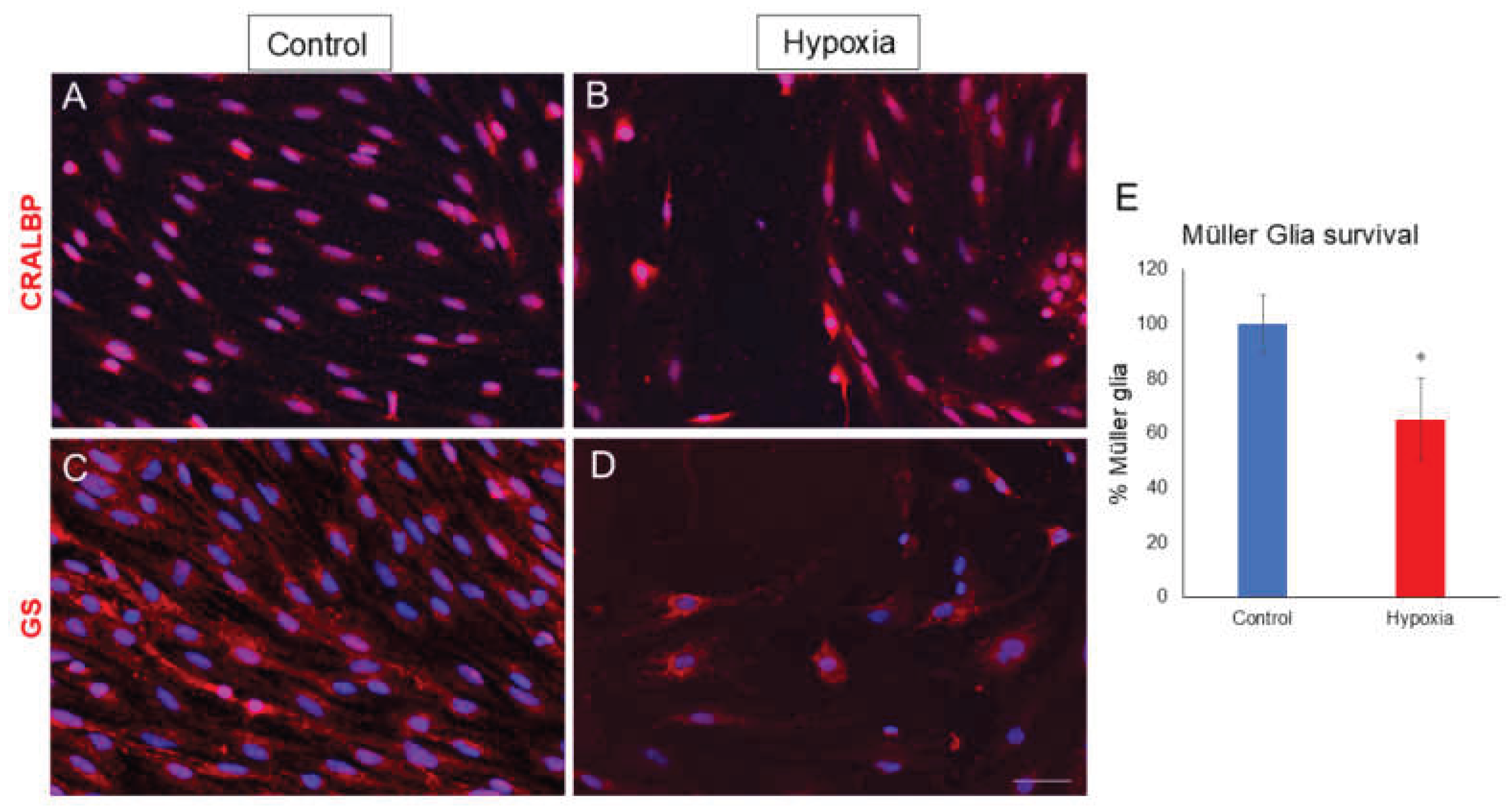 Preprints 162957 g003