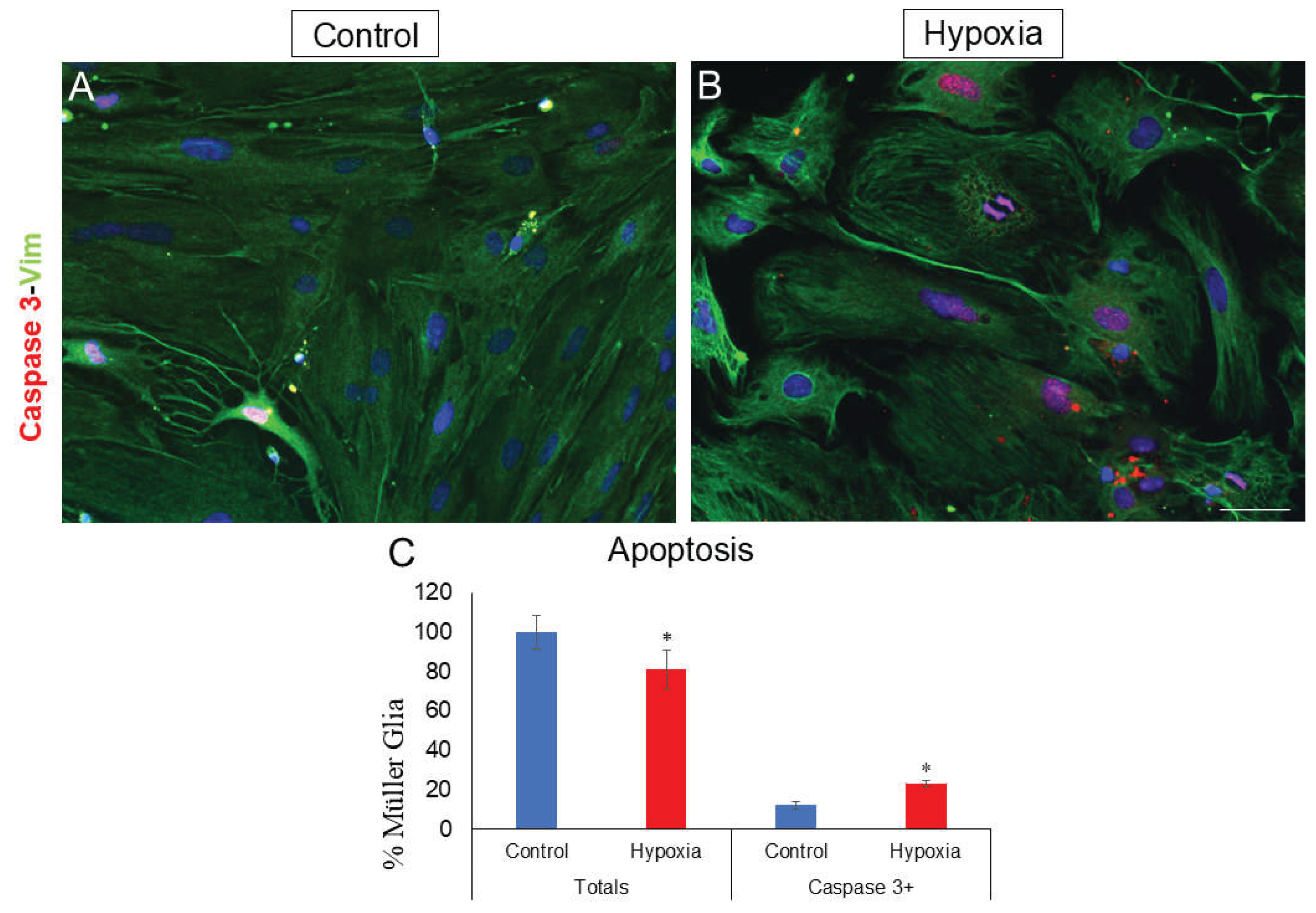 Preprints 162957 g004