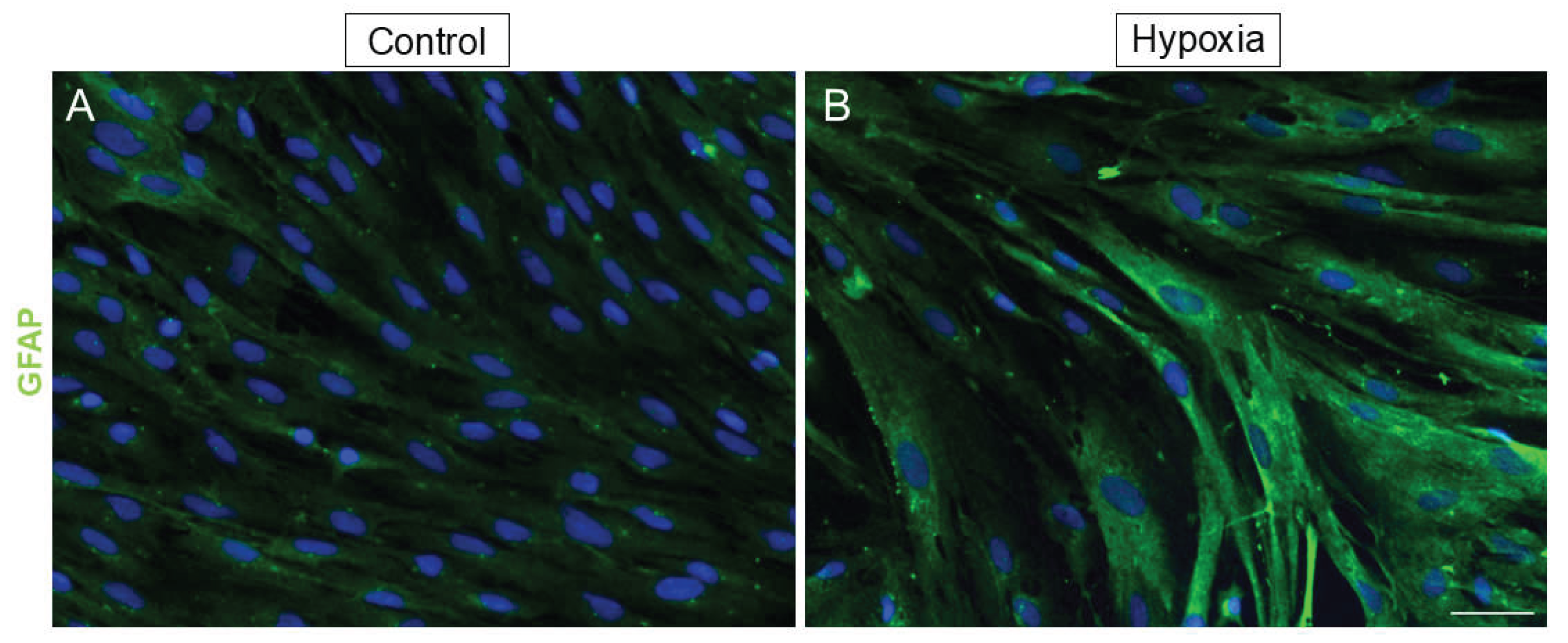 Preprints 162957 g005