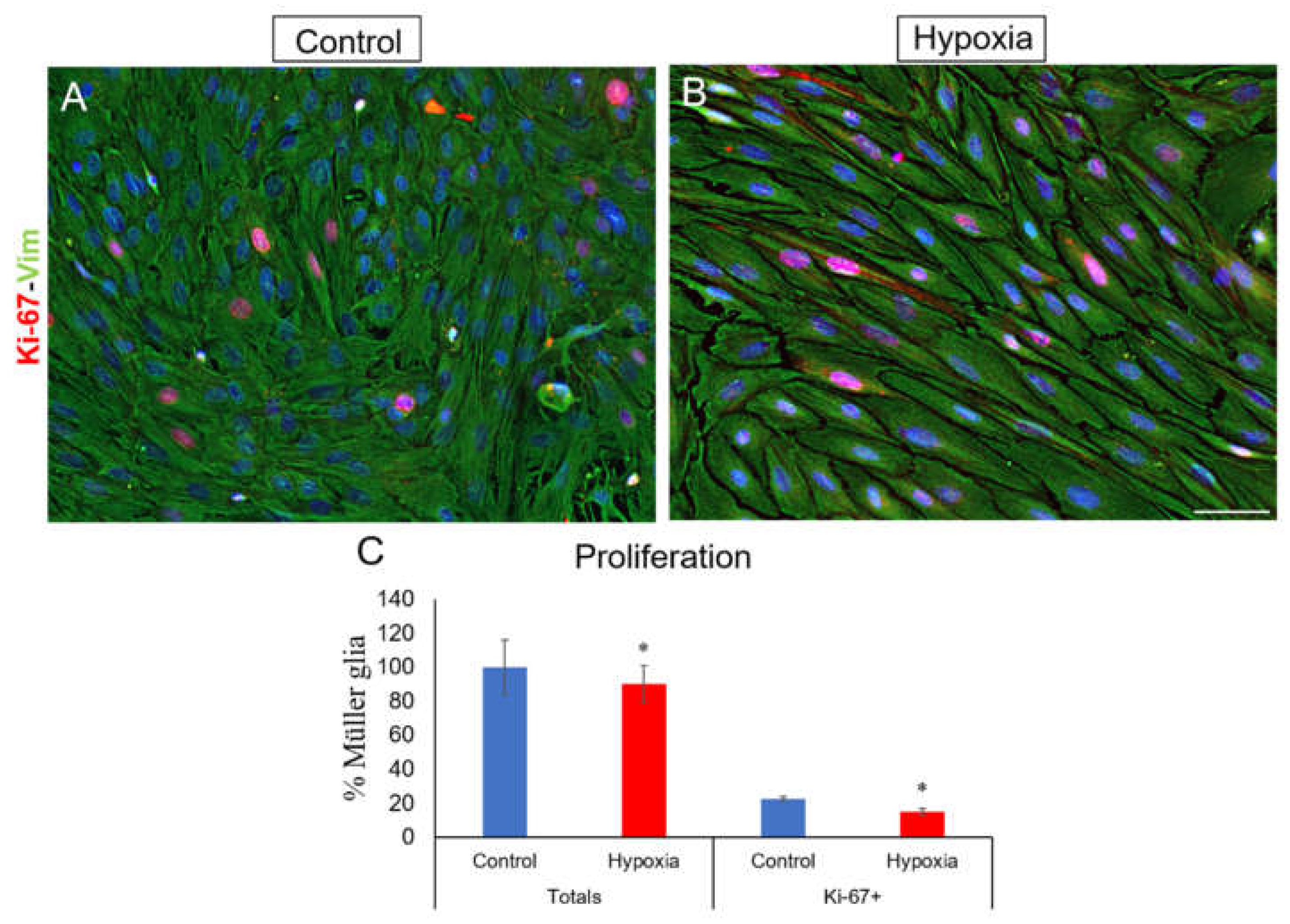 Preprints 162957 g006