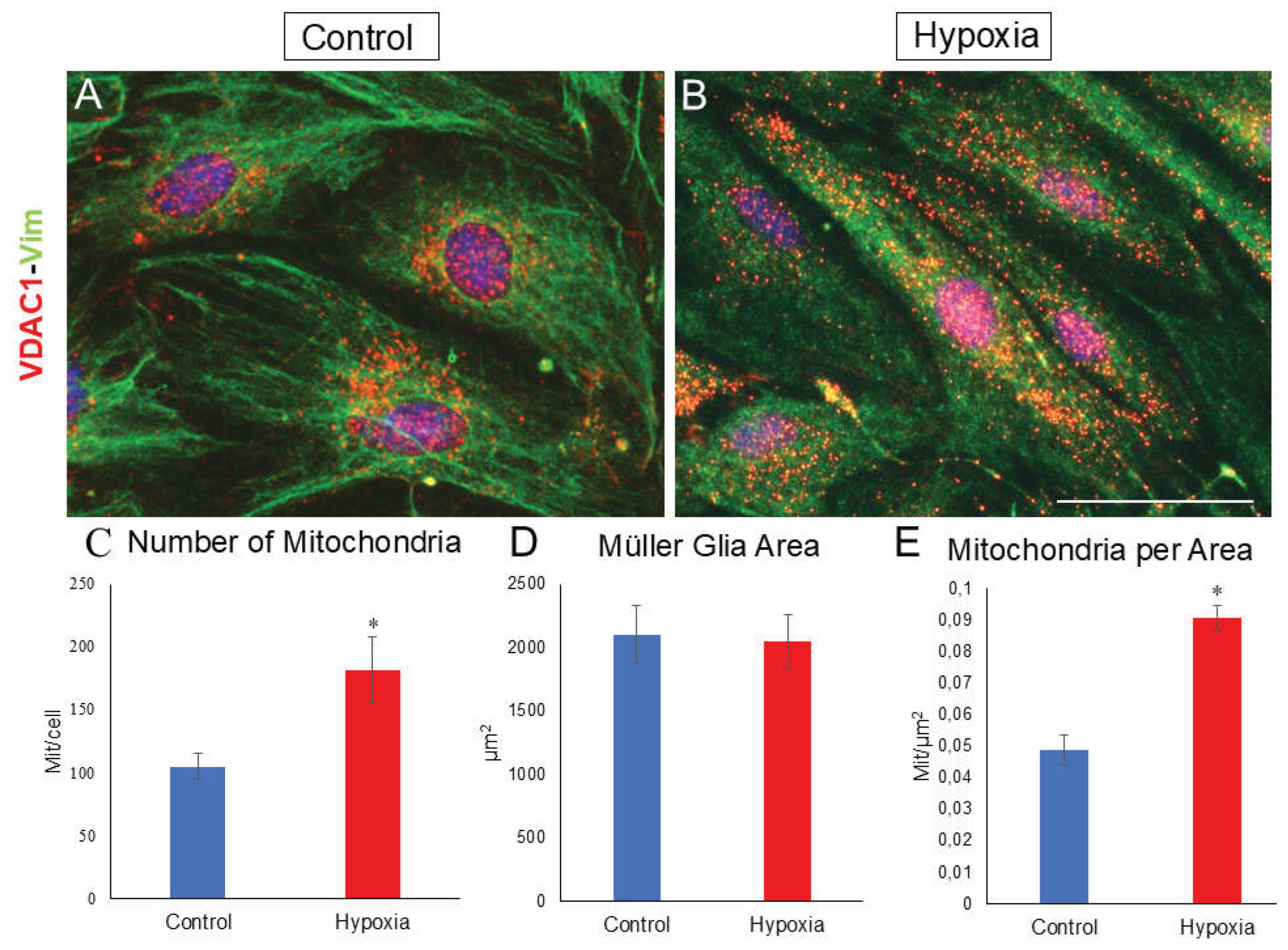 Preprints 162957 g007