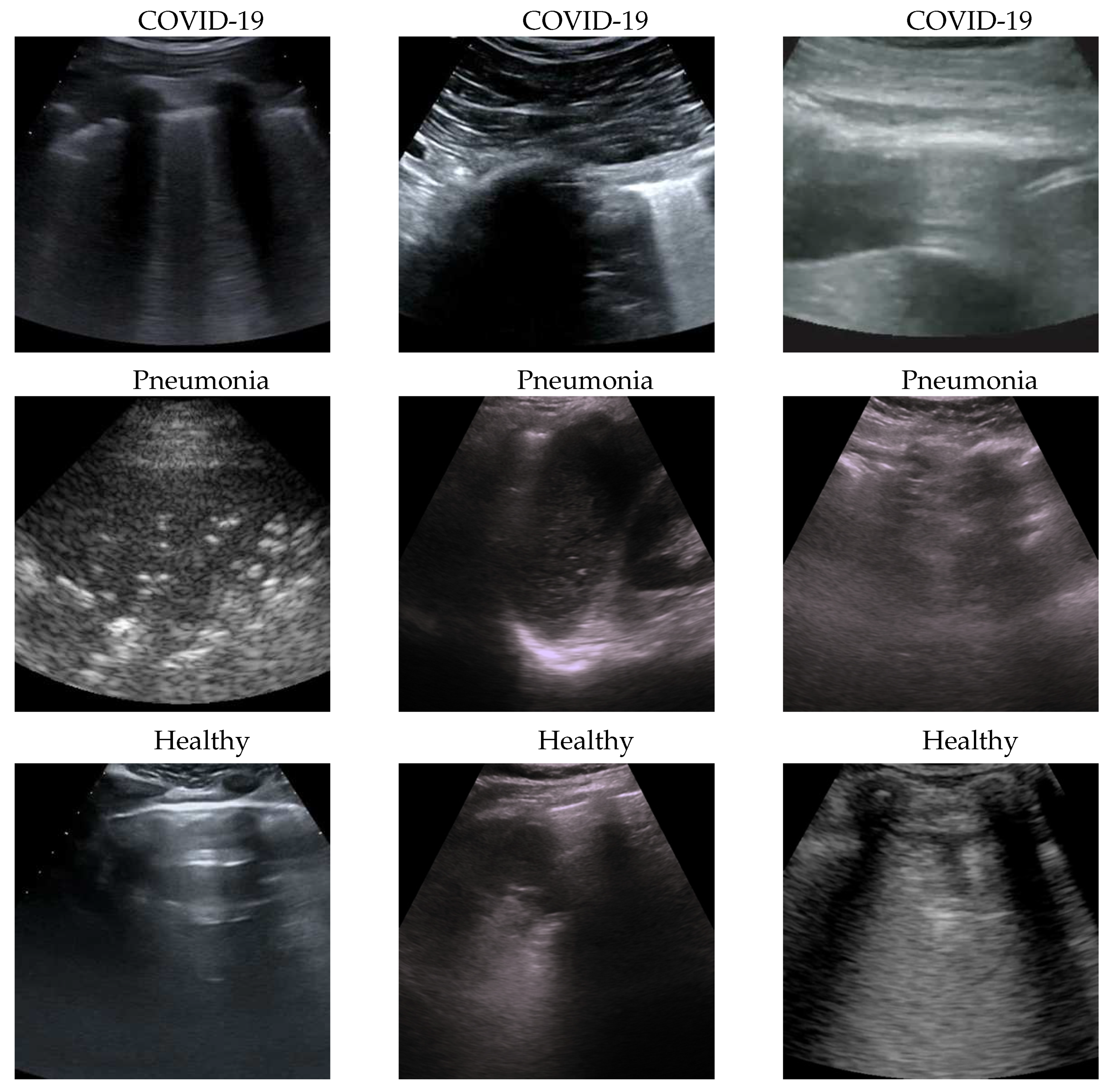 Preprints 69701 g001