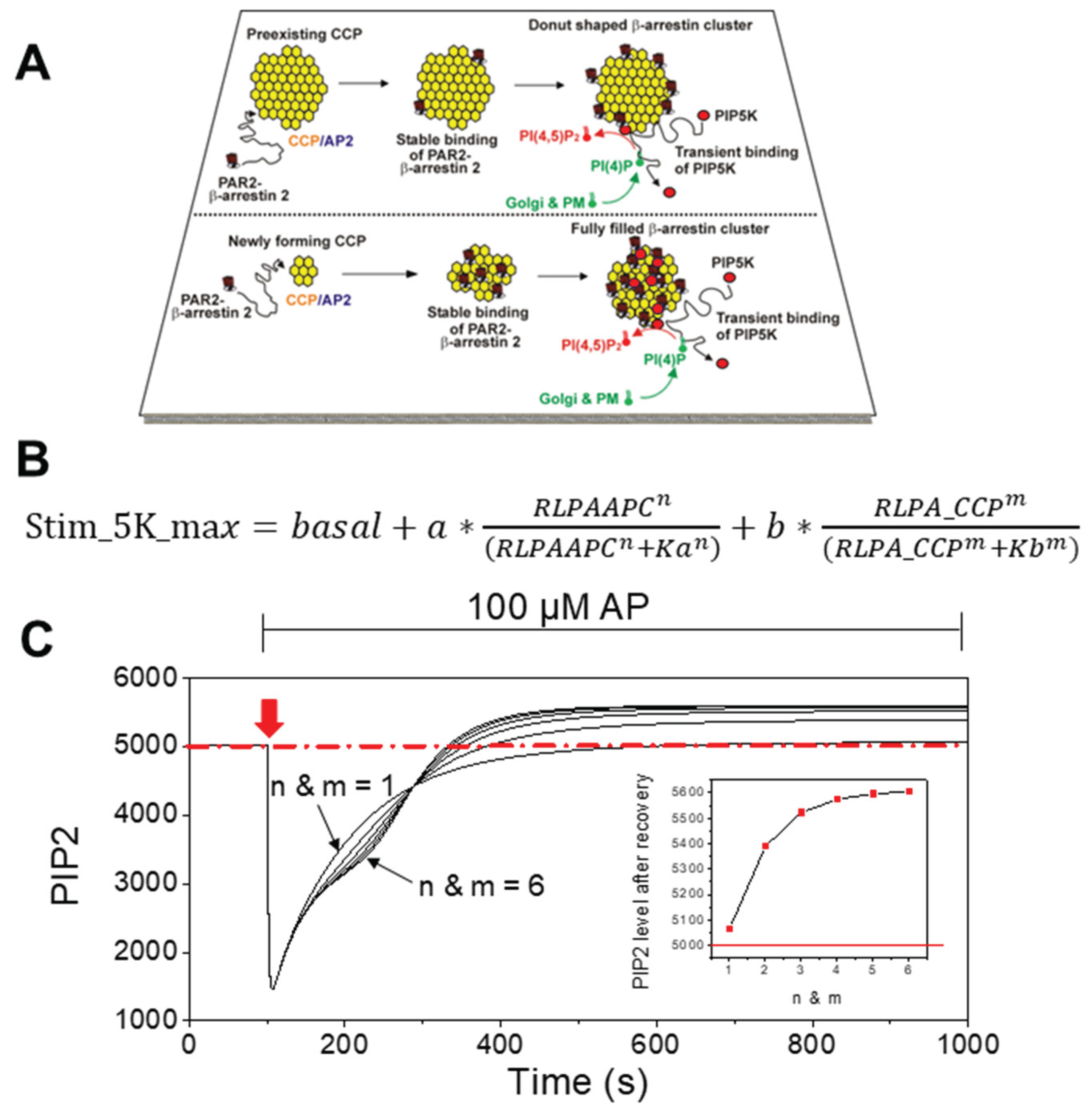 Preprints 182760 g001