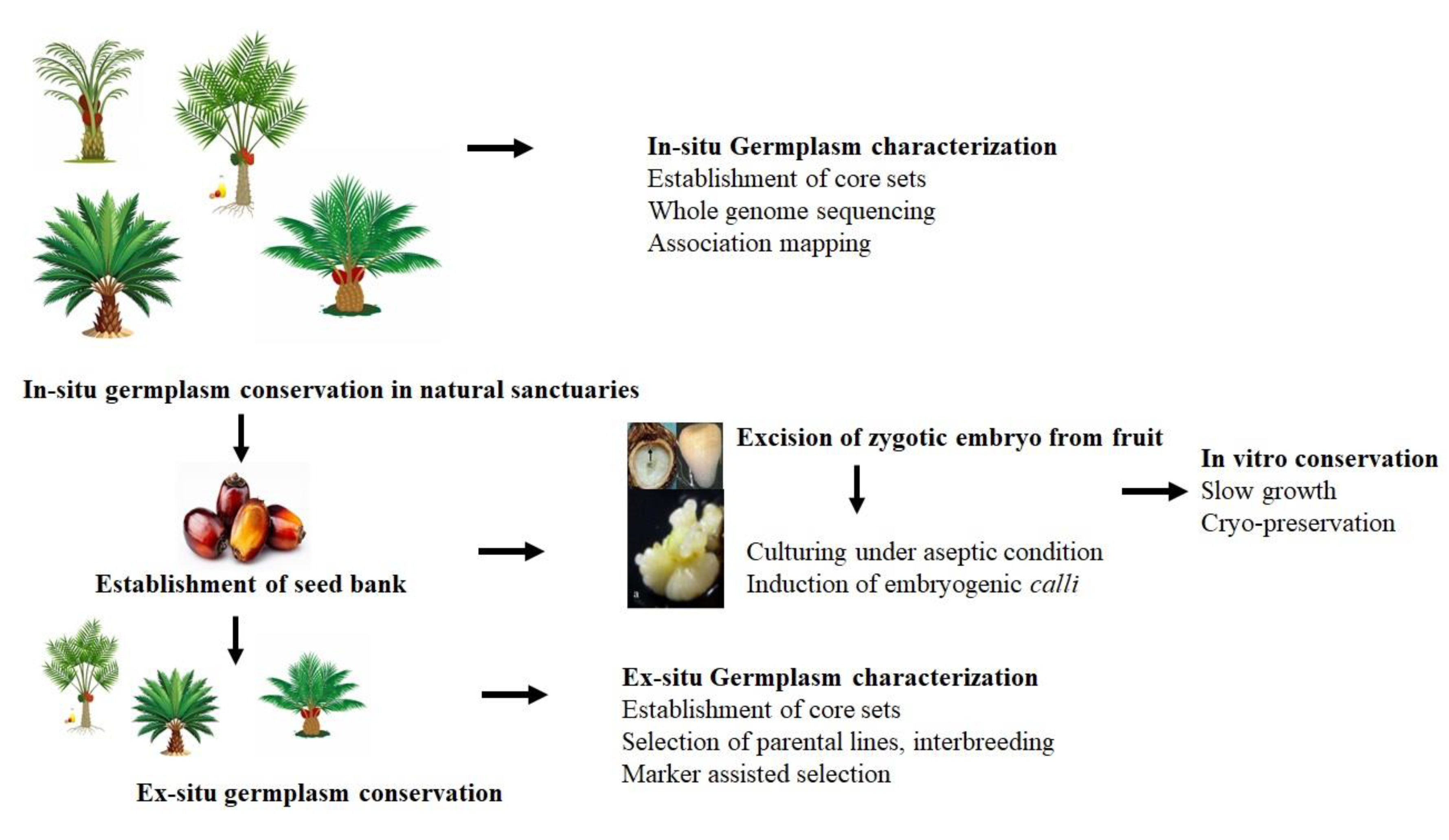 Preprints 180499 g001