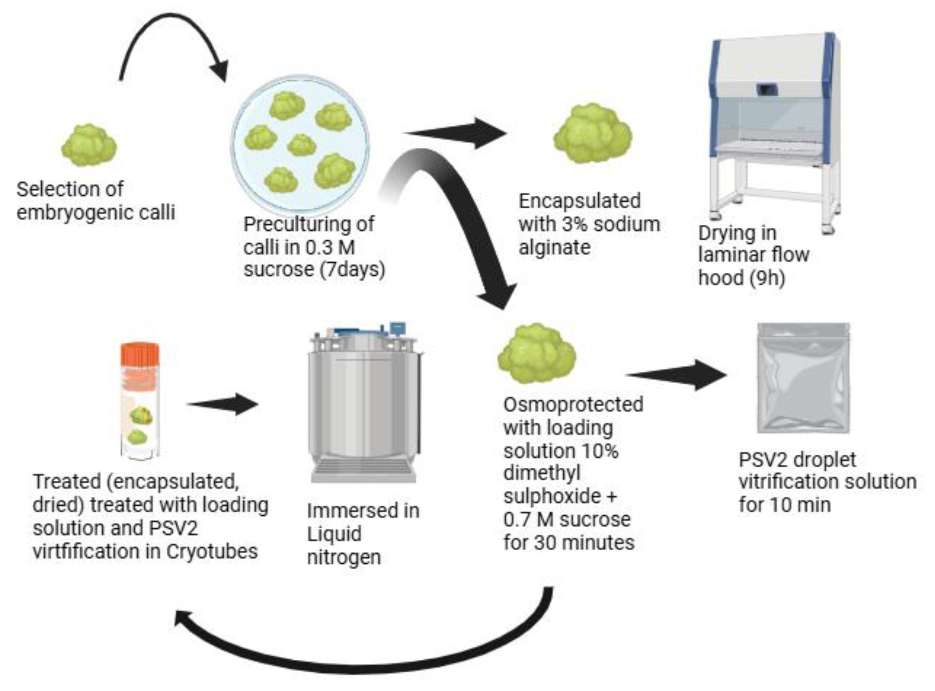 Preprints 180499 g003