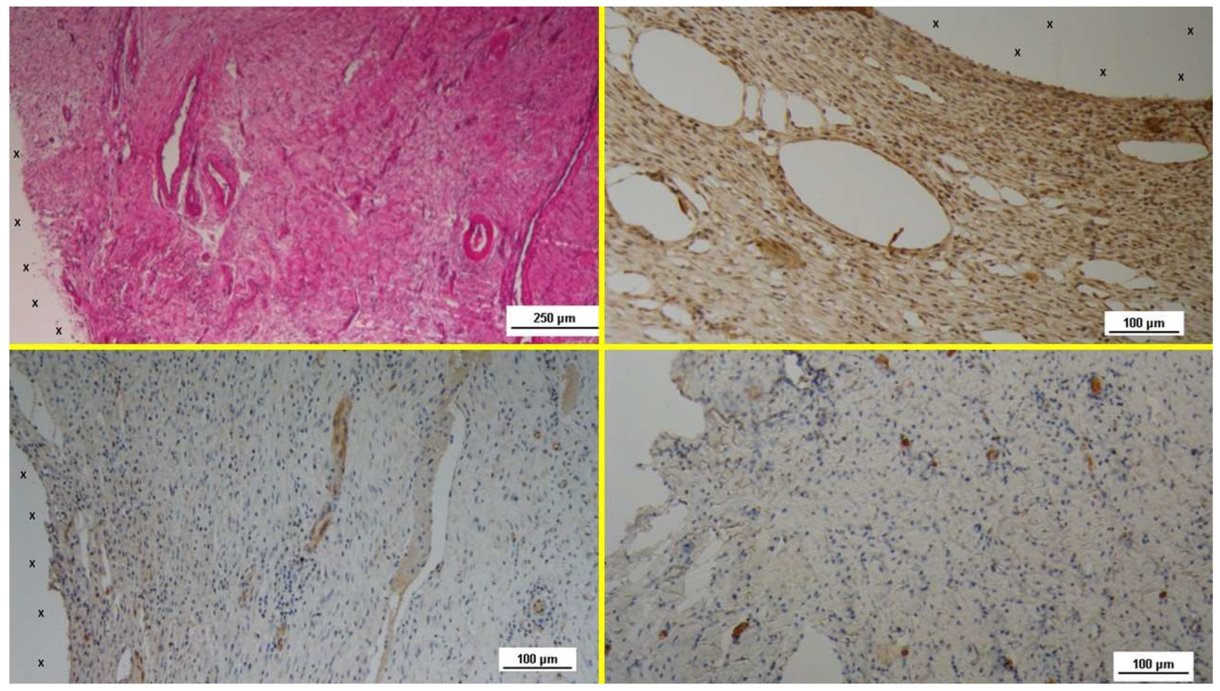 Preprints 141889 g003