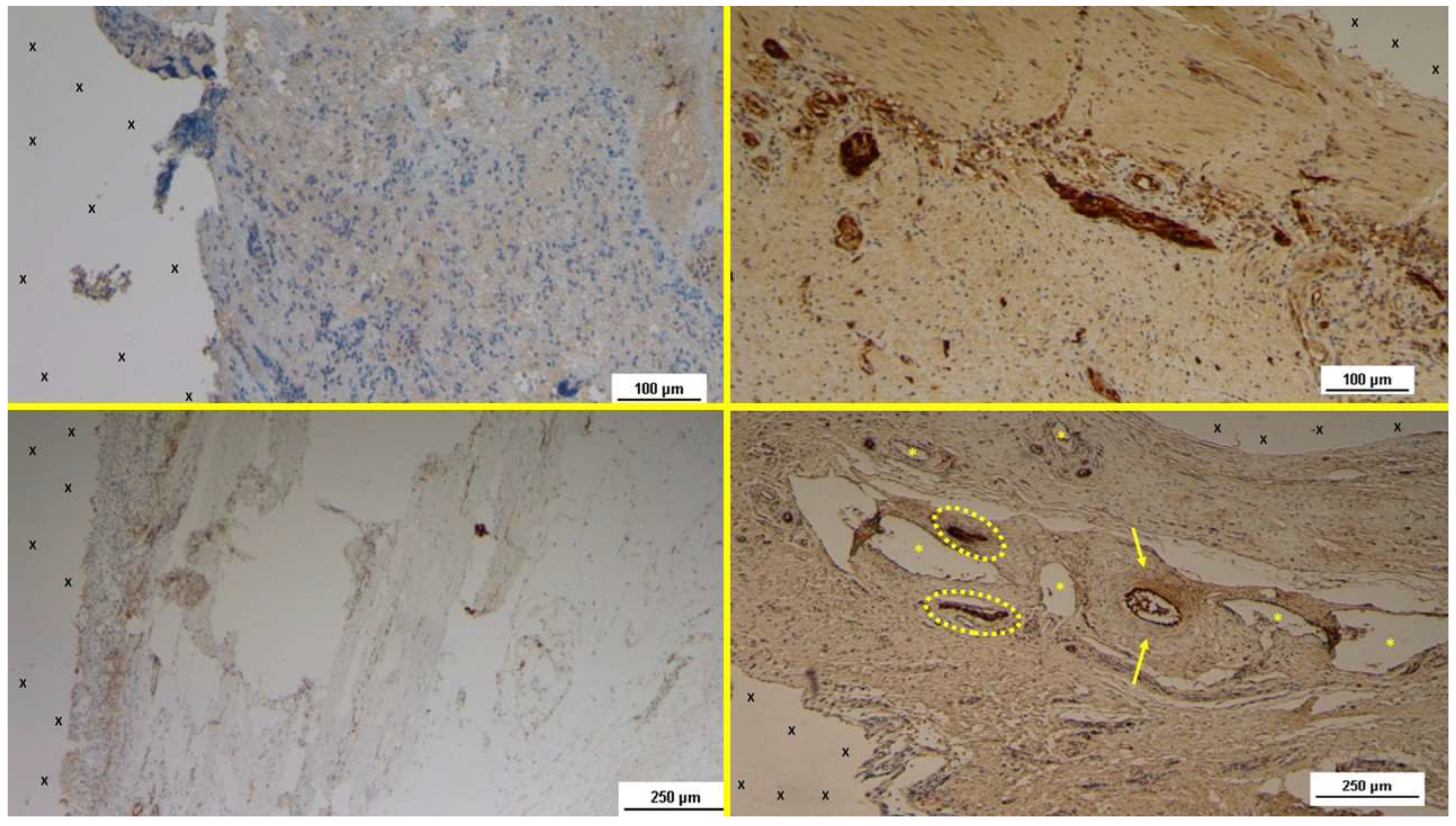 Preprints 141889 g009