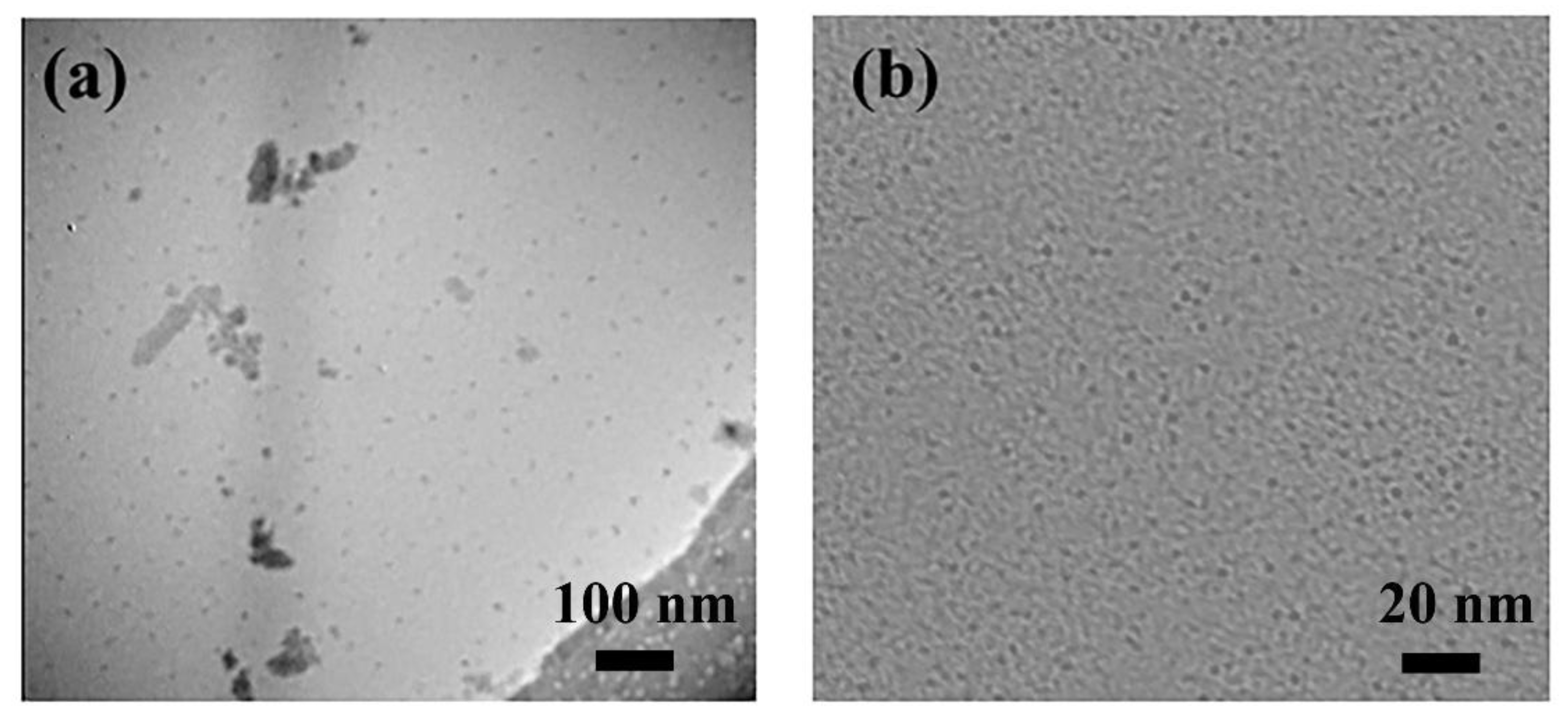 Preprints 158385 g001