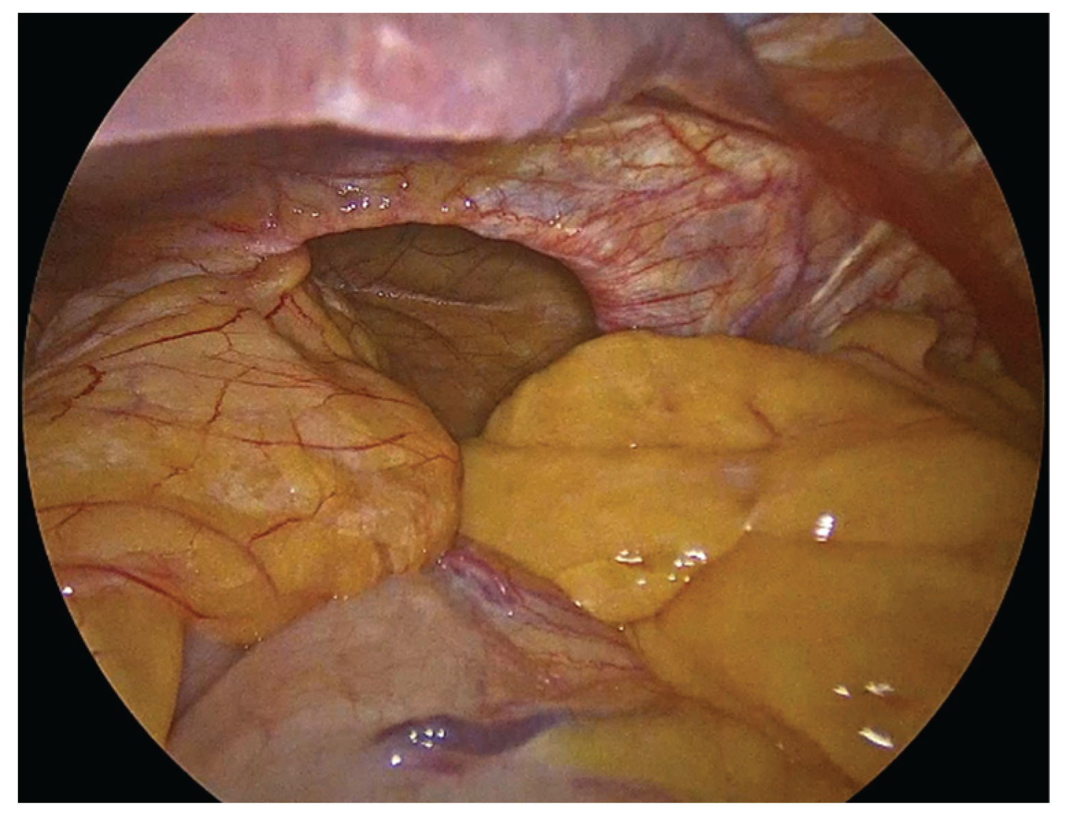 Preprints 183224 g001