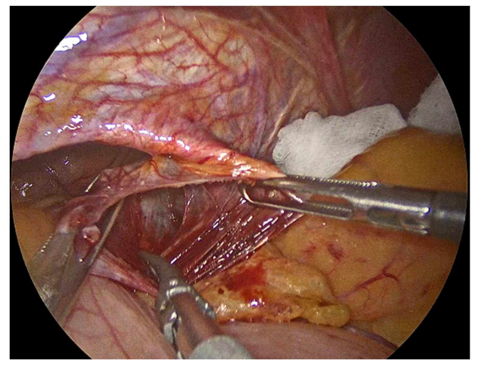 Preprints 183224 g002