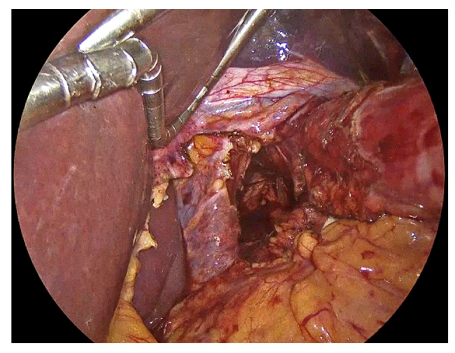 Preprints 183224 g003