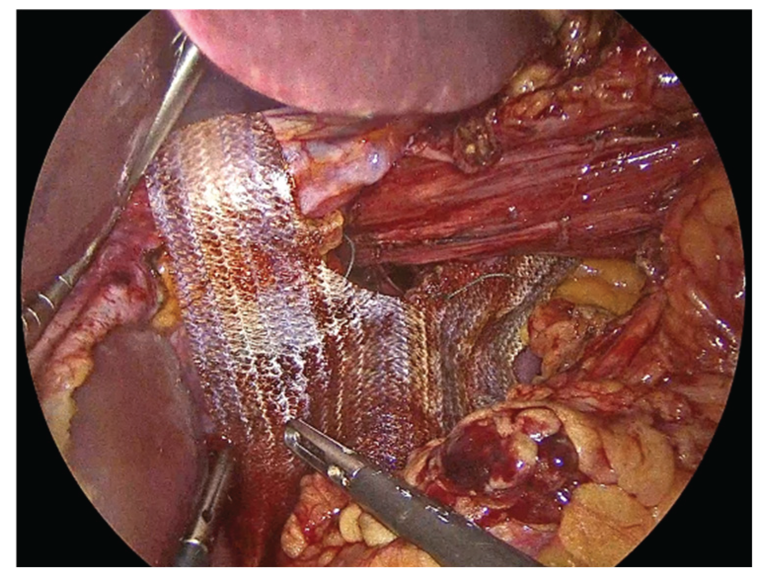 Preprints 183224 g005