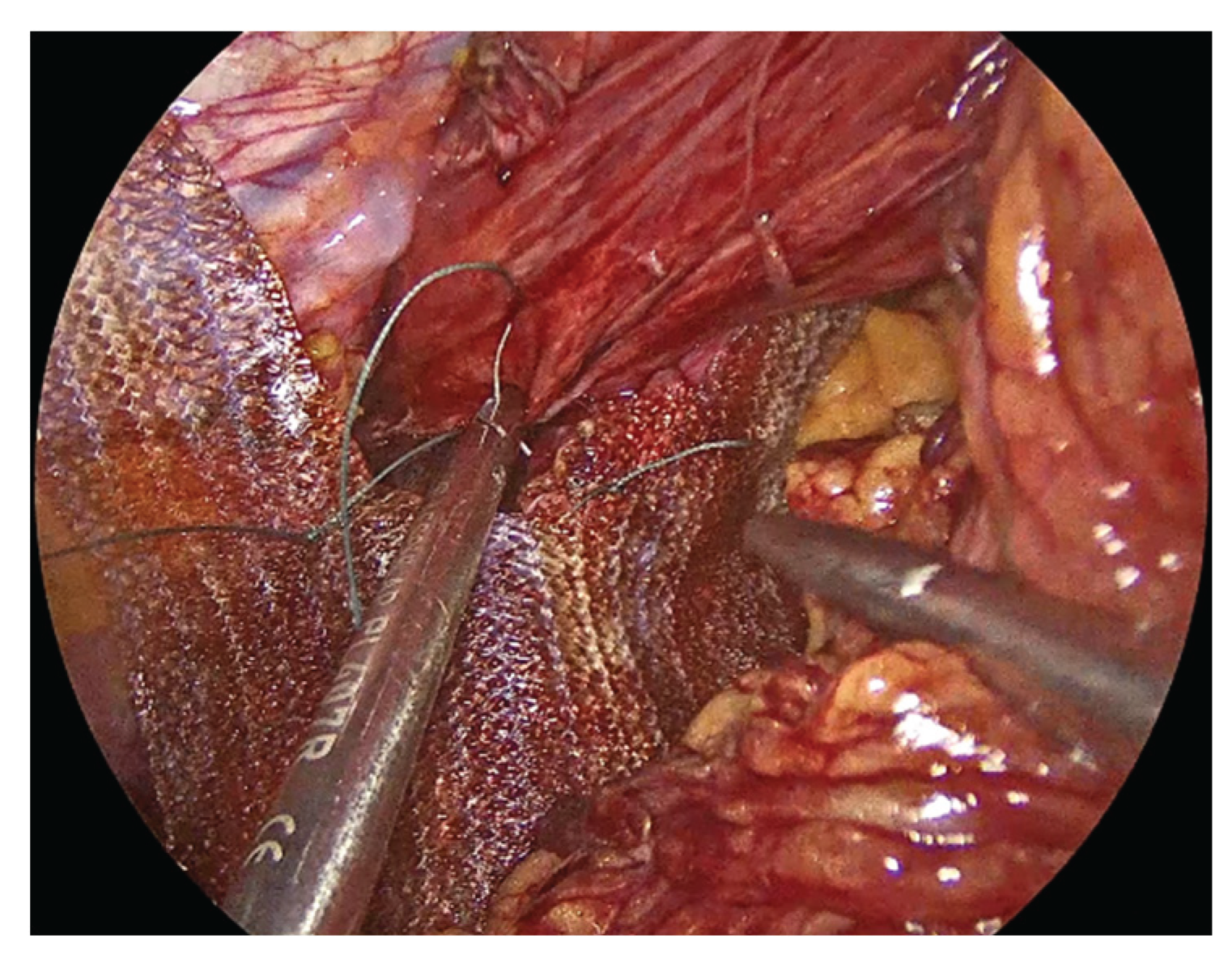 Preprints 183224 g006