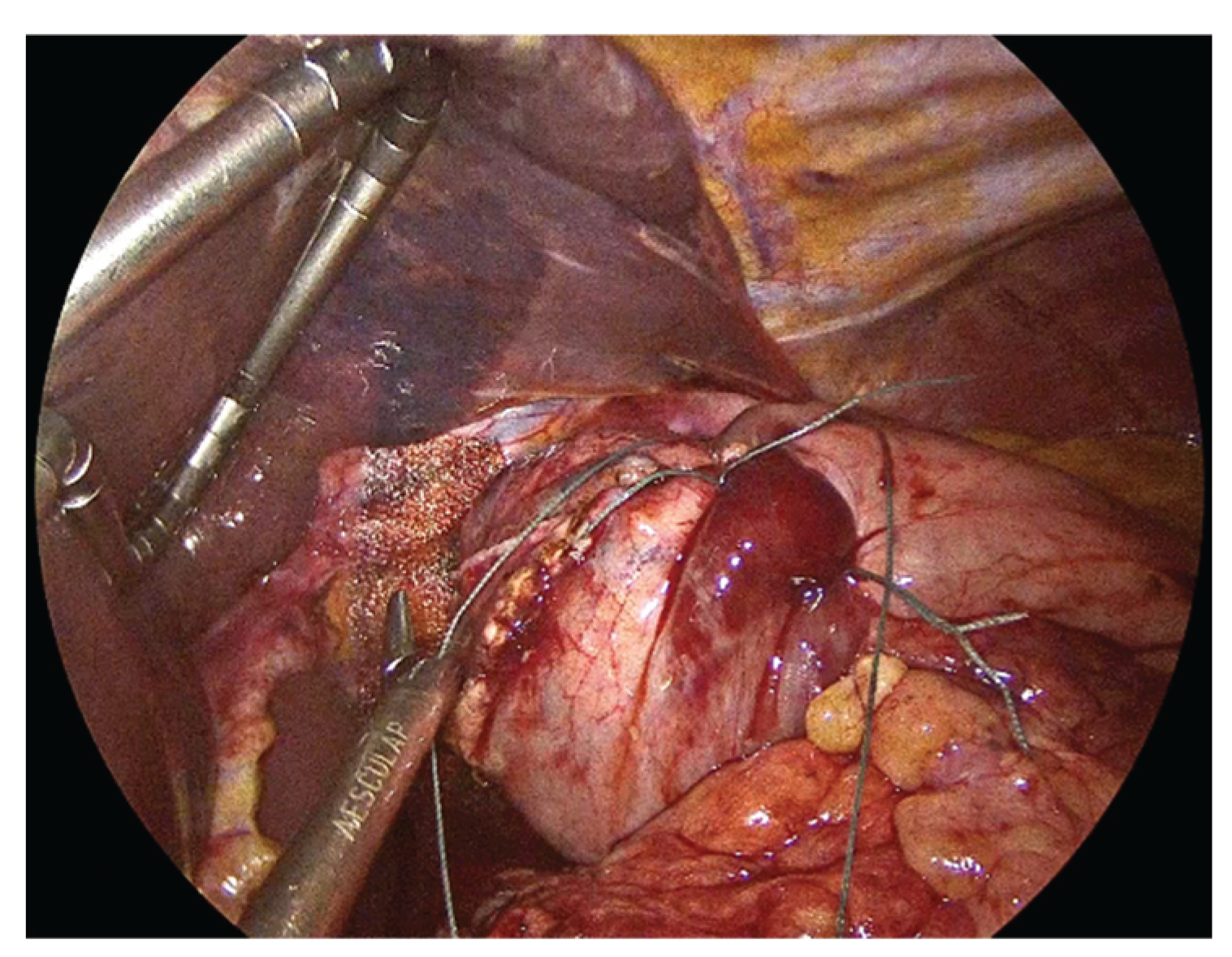 Preprints 183224 g008