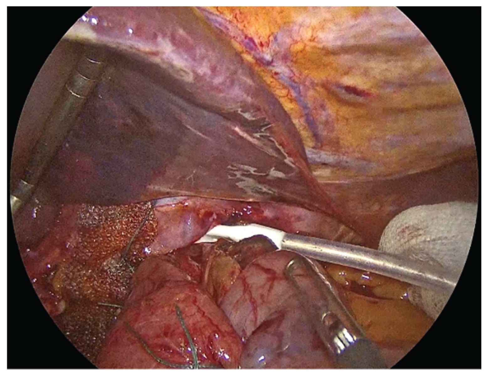 Preprints 183224 g009